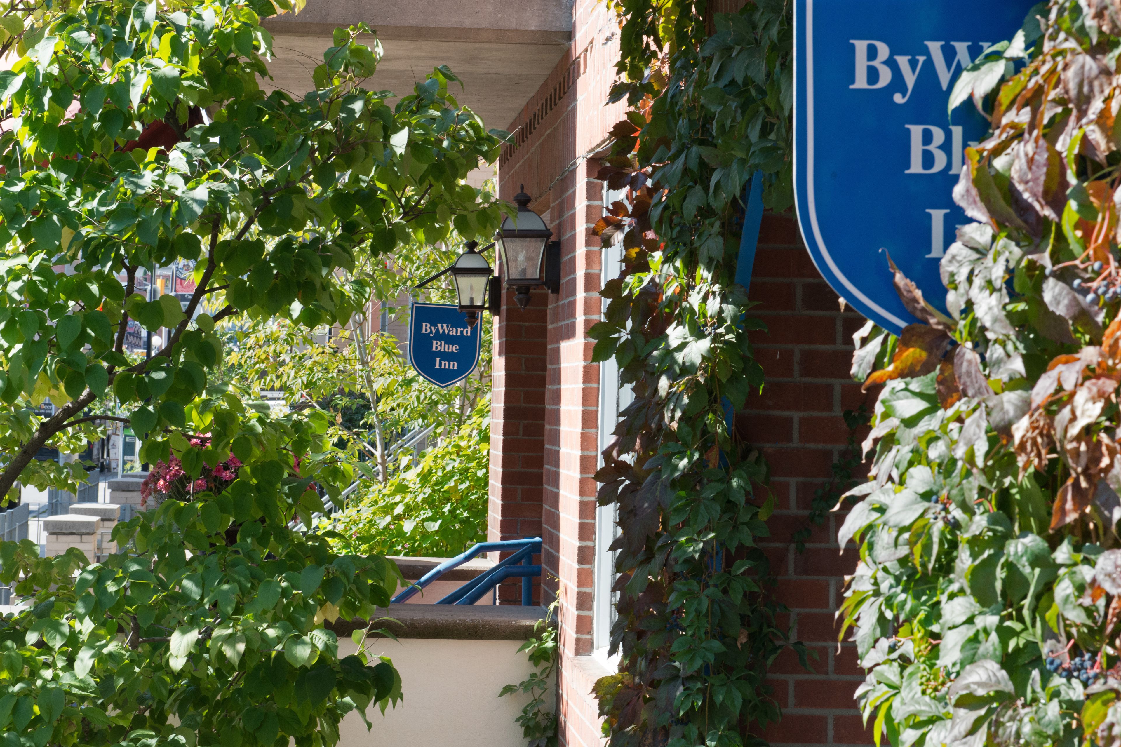 Photo - ByWard Blue Inn