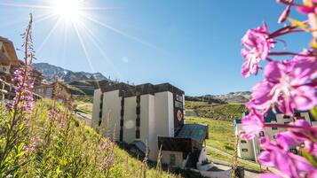 واجهة المنشأة