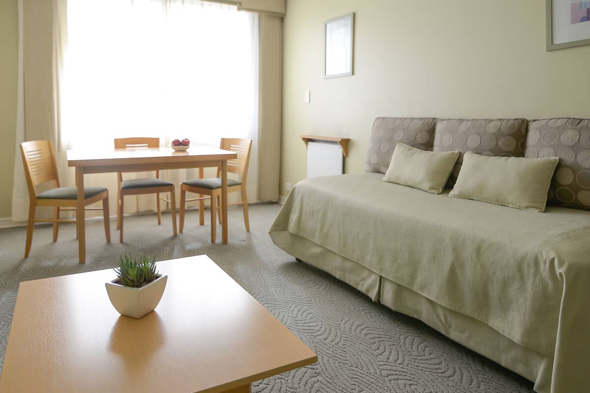 Une pièce comprenant un lit, une table à manger avec des chaises et une petite plante posée sur la table.