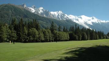 Escape to a serene natural landscape surrounded by snow-capped mountains and dense forest.