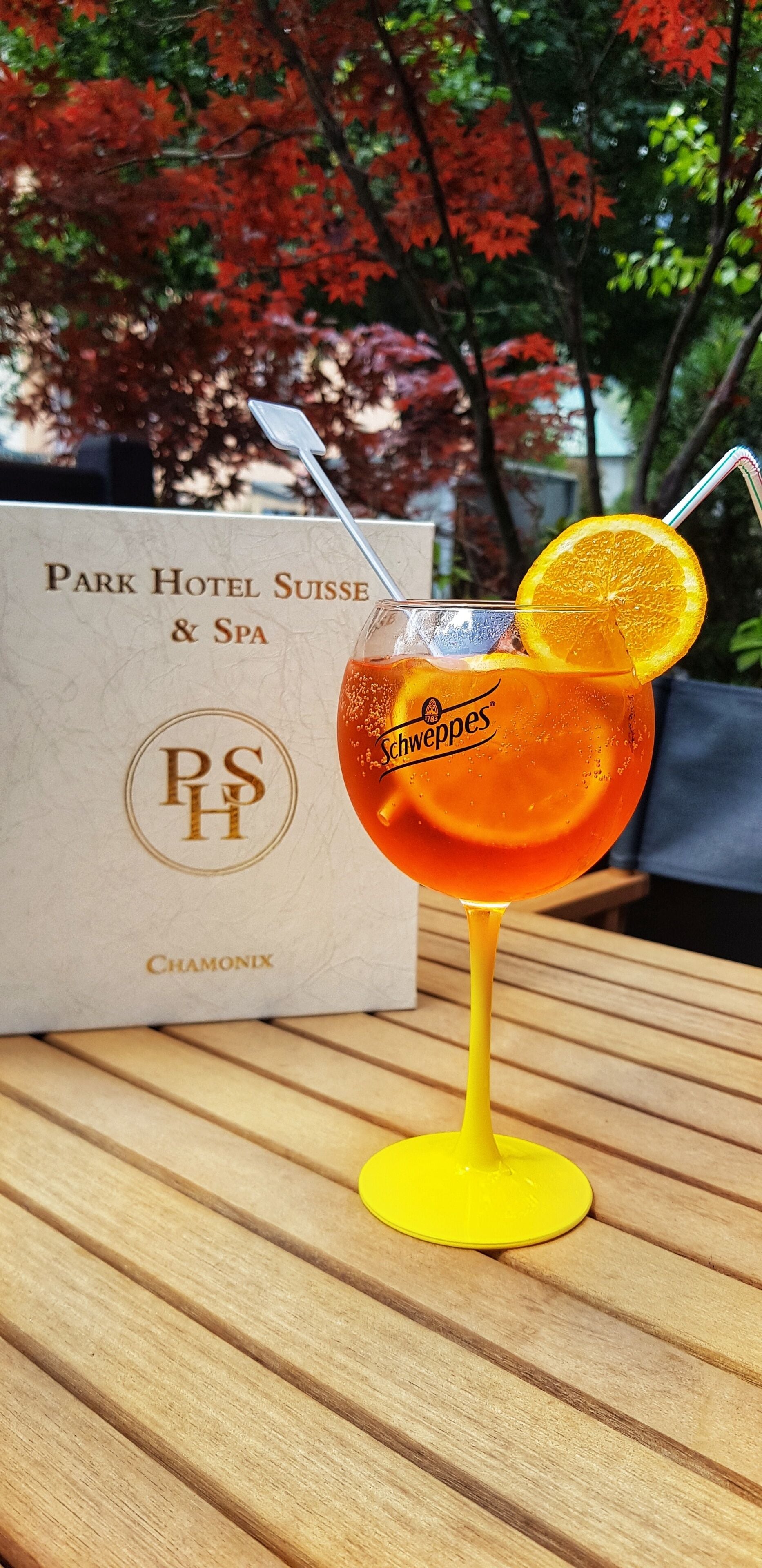 Foto - Park Hotel Suisse & Spa