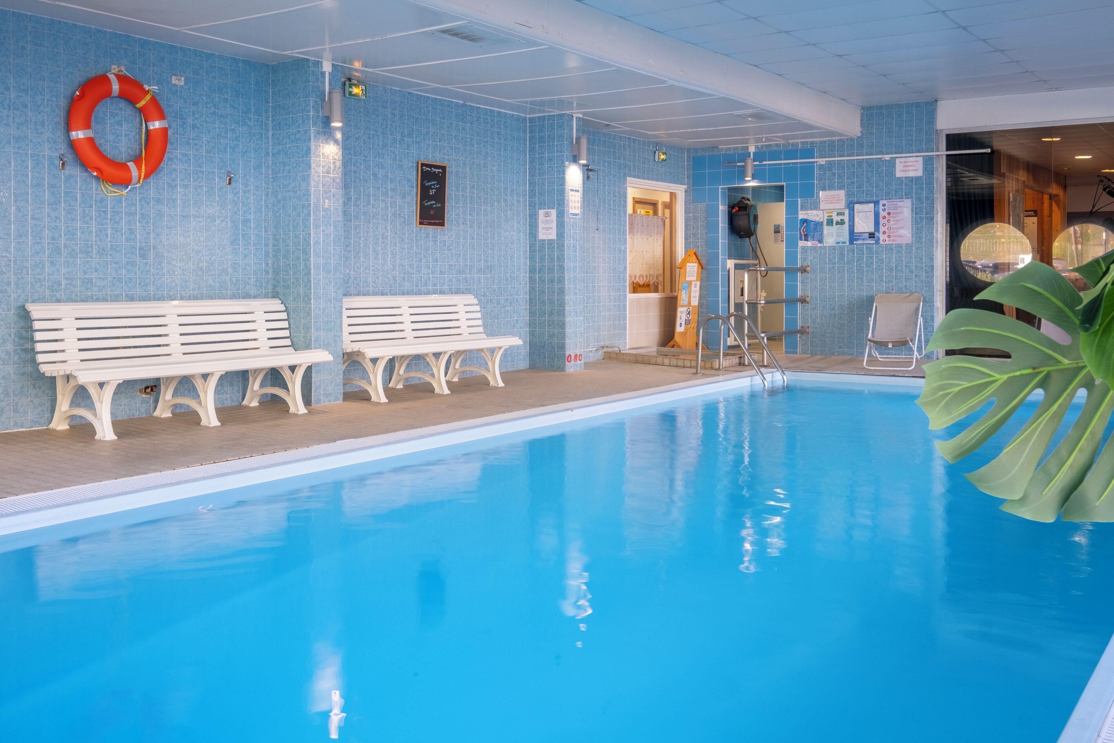 An indoor swimming pool with benches, a lifebuoy, and a large plant.