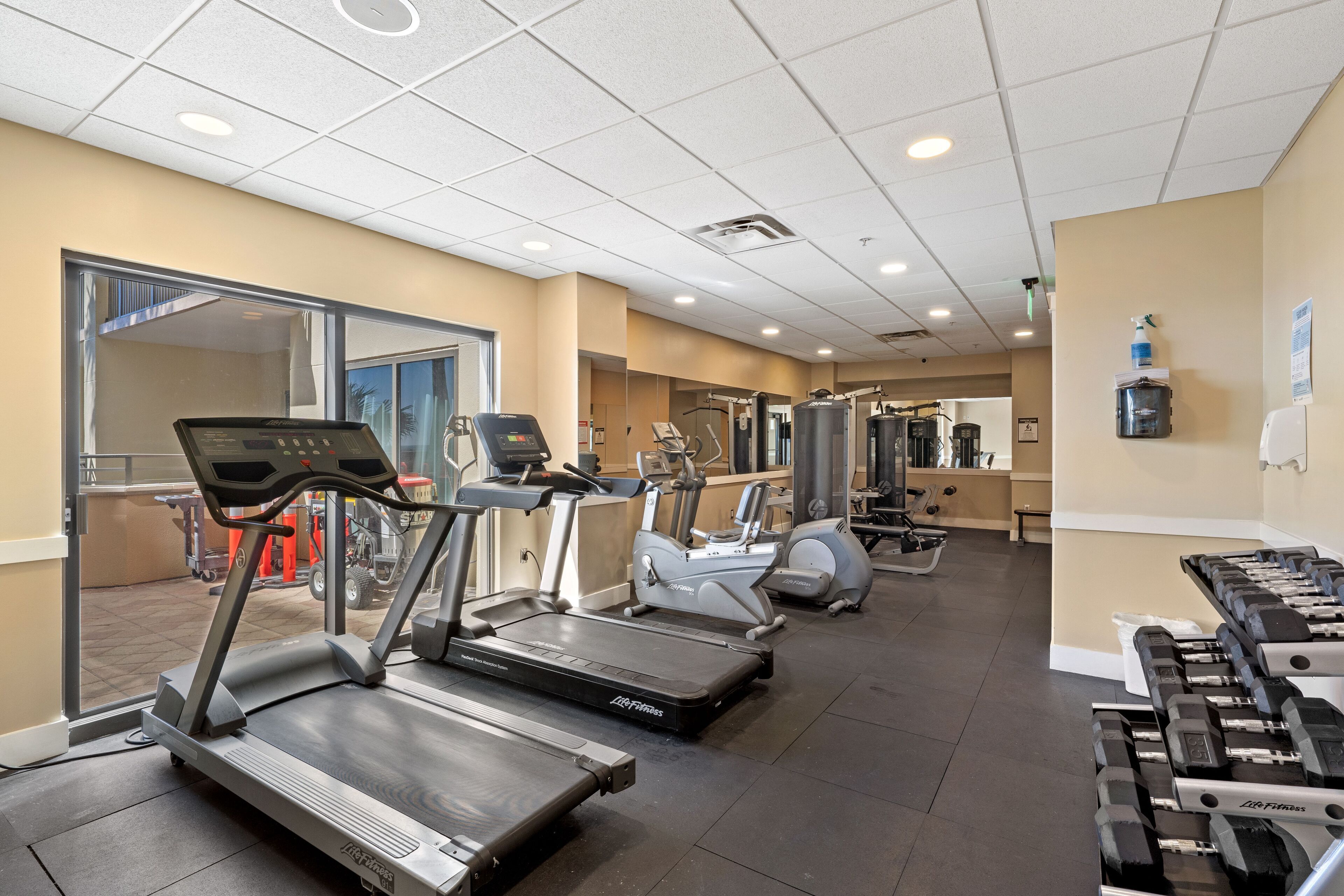 A gym with treadmills, elliptical machines, and dumbbells.