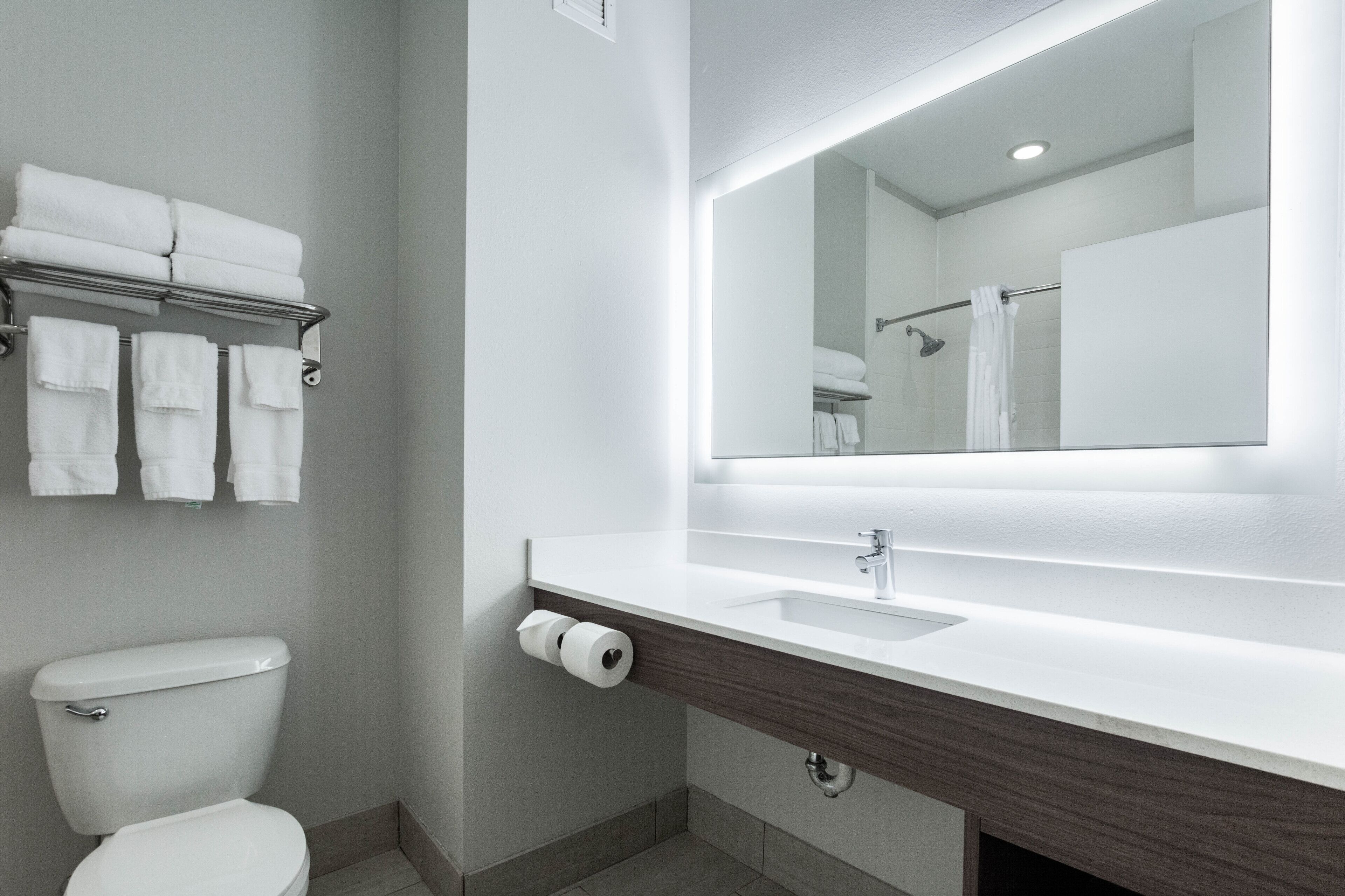 hair dryer, soap, shampoo, toilet paper