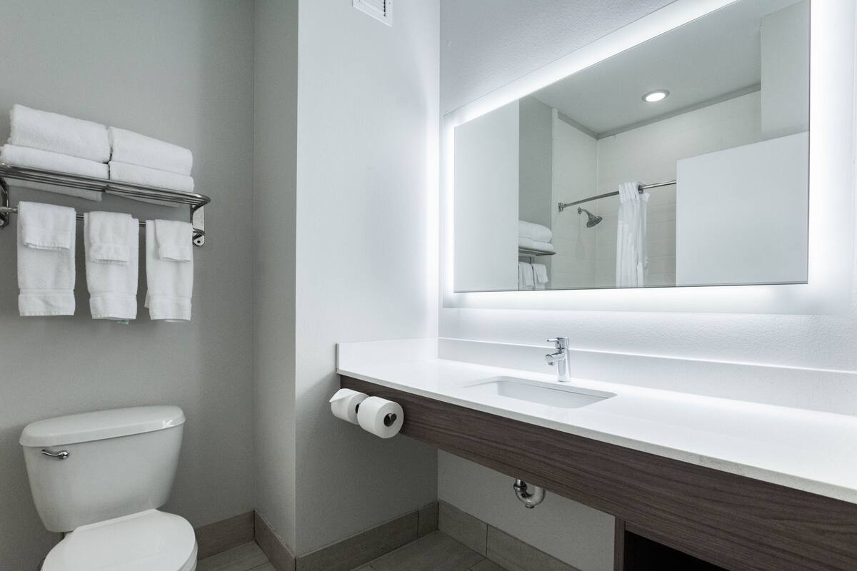 hair dryer, soap, shampoo, toilet paper