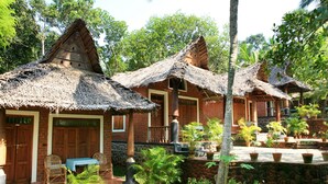 A row of traditional-style buildings with thatched roofs, surrounded by lush greenery and potted plants. - Somatheeram Ayurveda Village (Neyyattinkara)