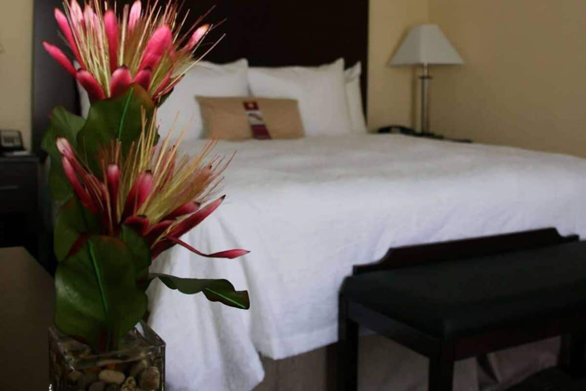 In-room safe, iron/ironing board, free WiFi, bed sheets