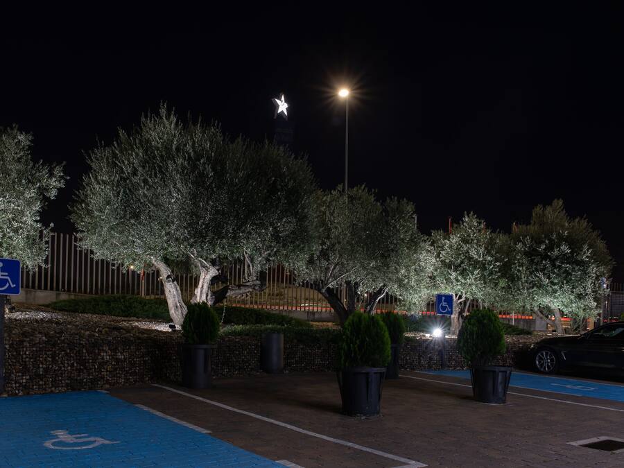 A parking area with blue handicapped parking spaces, trees, and a street lamp.