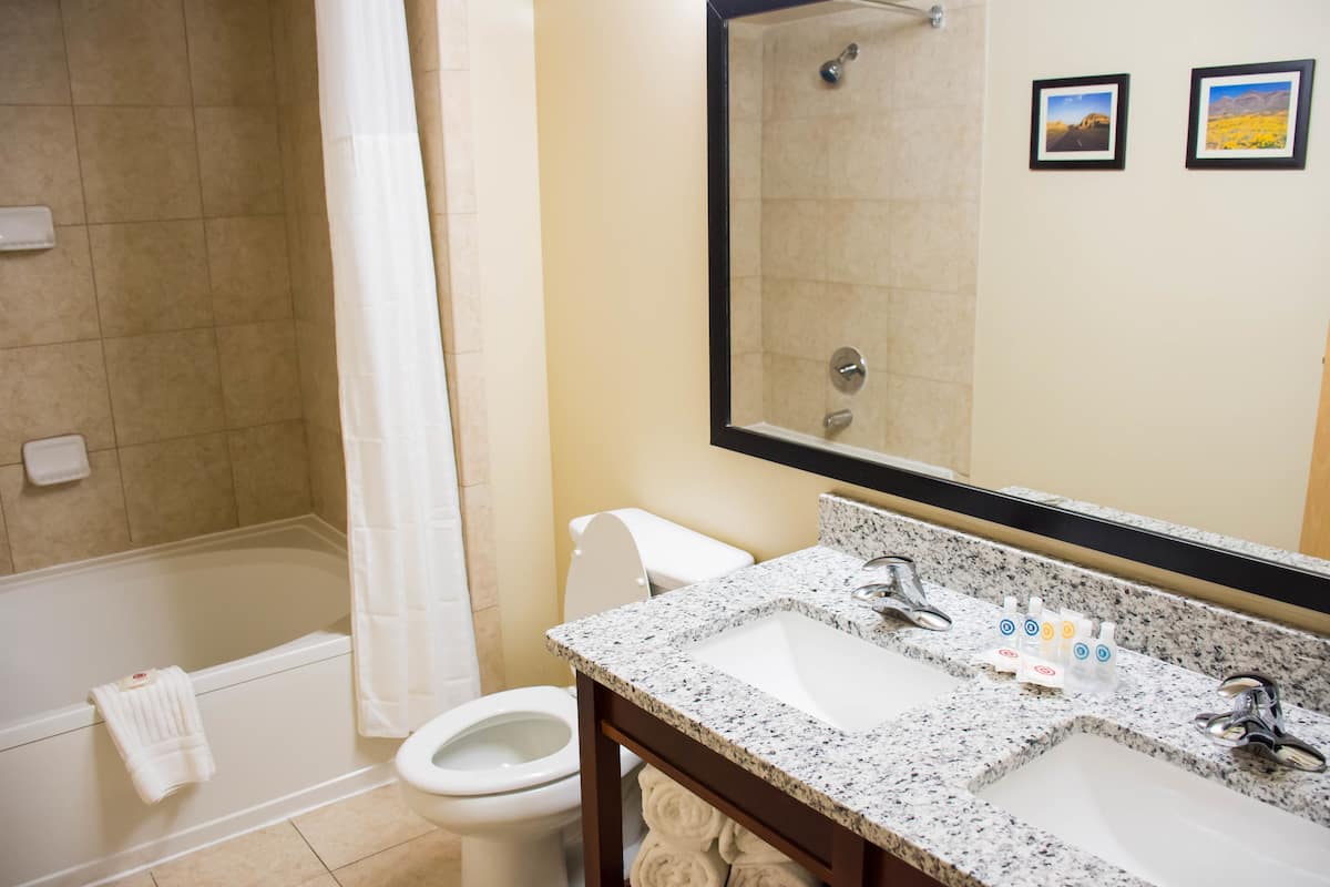 combined shower/bathtub, free toiletries, hair dryer, towels