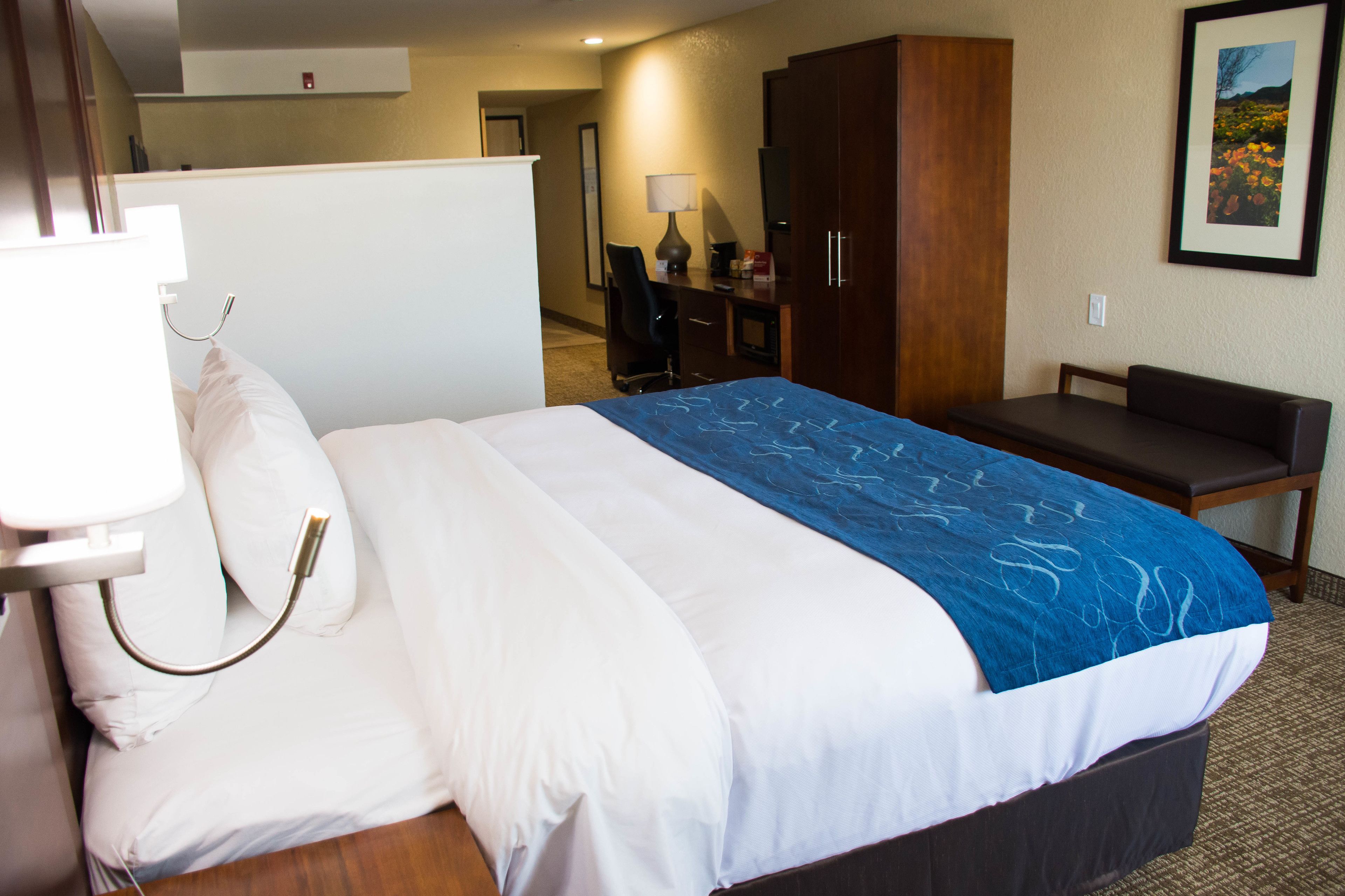 suite, 1 king bed, non smoking | view from room