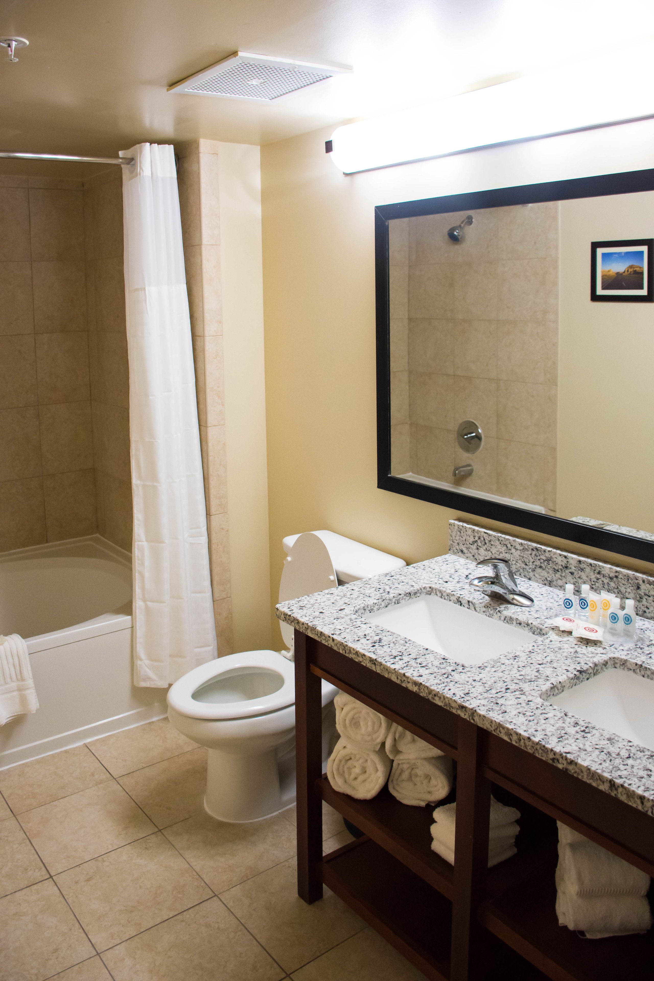 combined shower/bathtub, free toiletries, hair dryer, towels