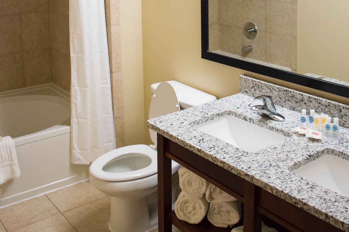 combined shower/bathtub, free toiletries, hair dryer, towels