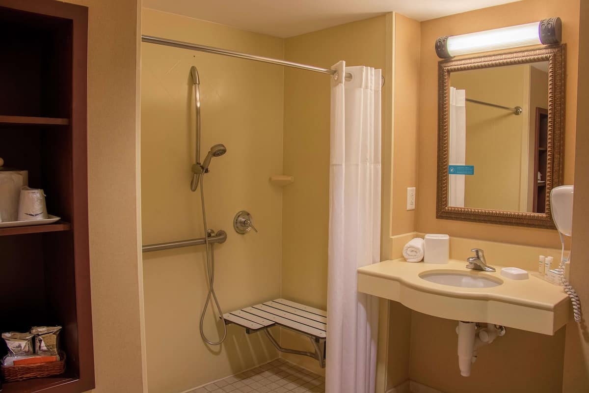 room, 1 king bed, accessible | bathroom shower