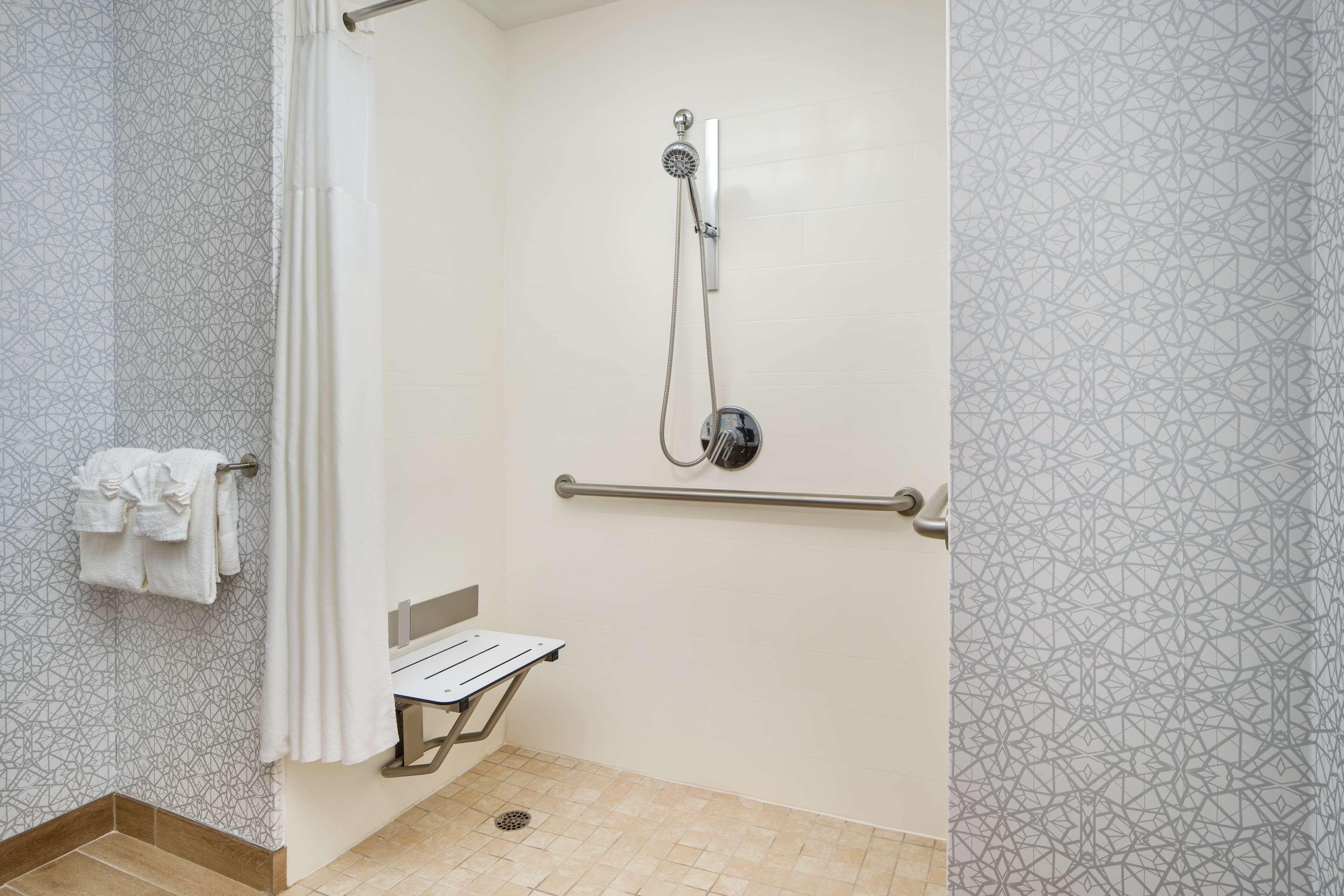 room, 1 king bed, accessible, non smoking (roll-in shower) | bathroom shower