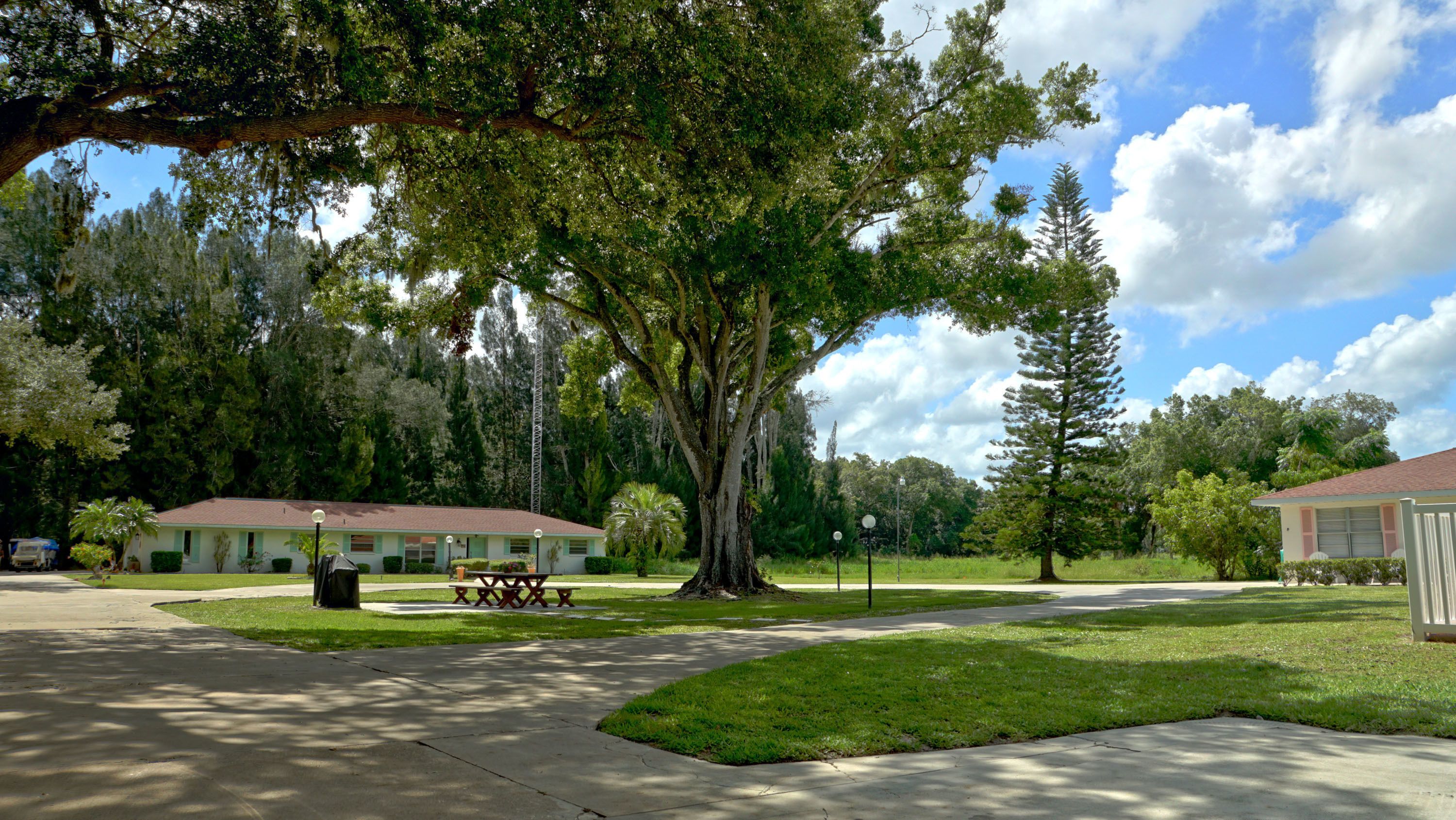 A park with picnic tables, a large tree, and a building with a red roof.