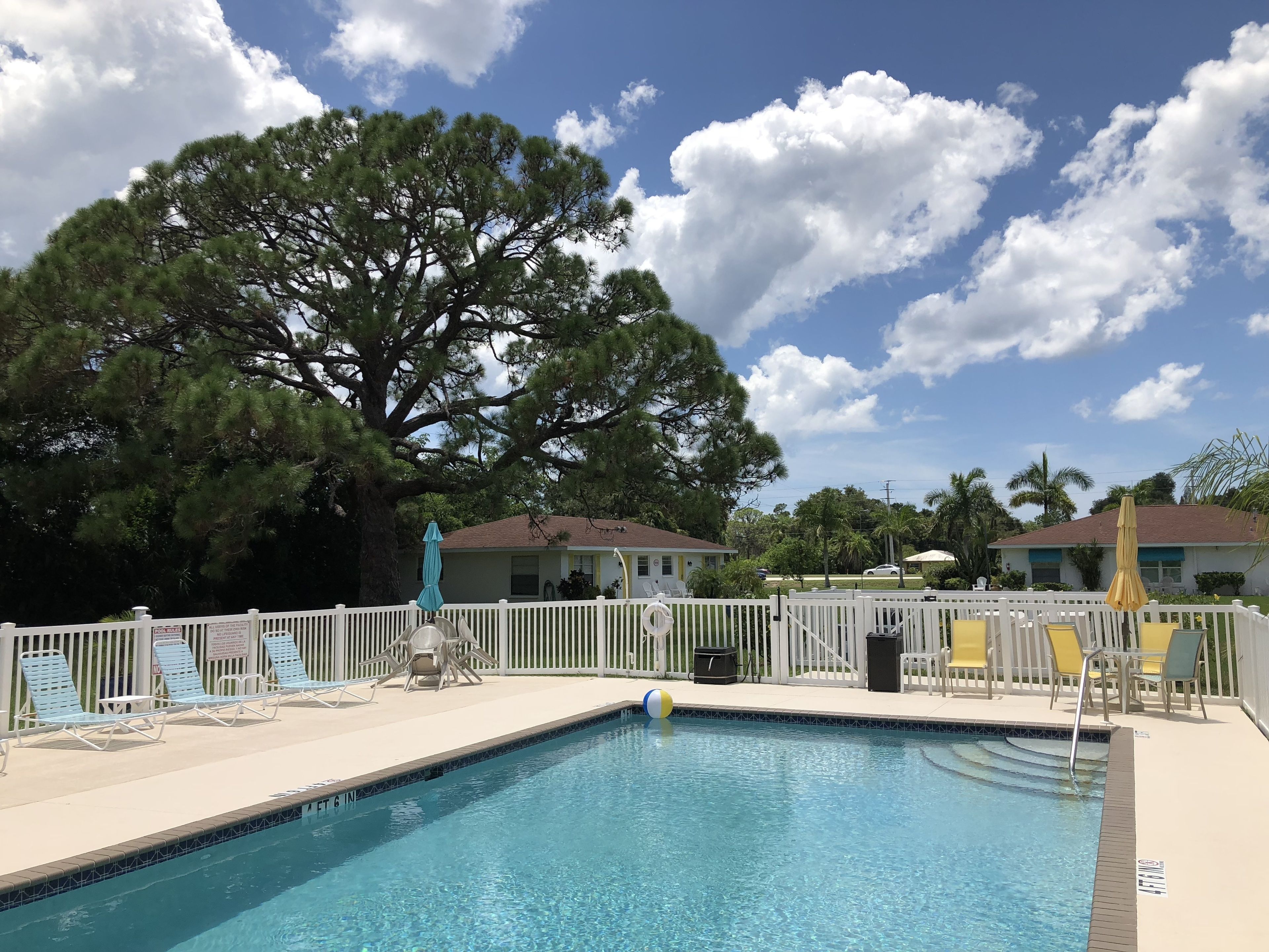 outdoor pool, pool umbrellas, pool loungers