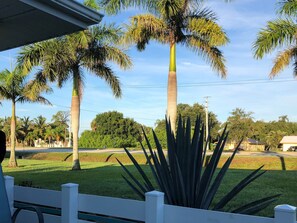 Vista de una zona residencial con palmeras, césped y una calle al fondo.