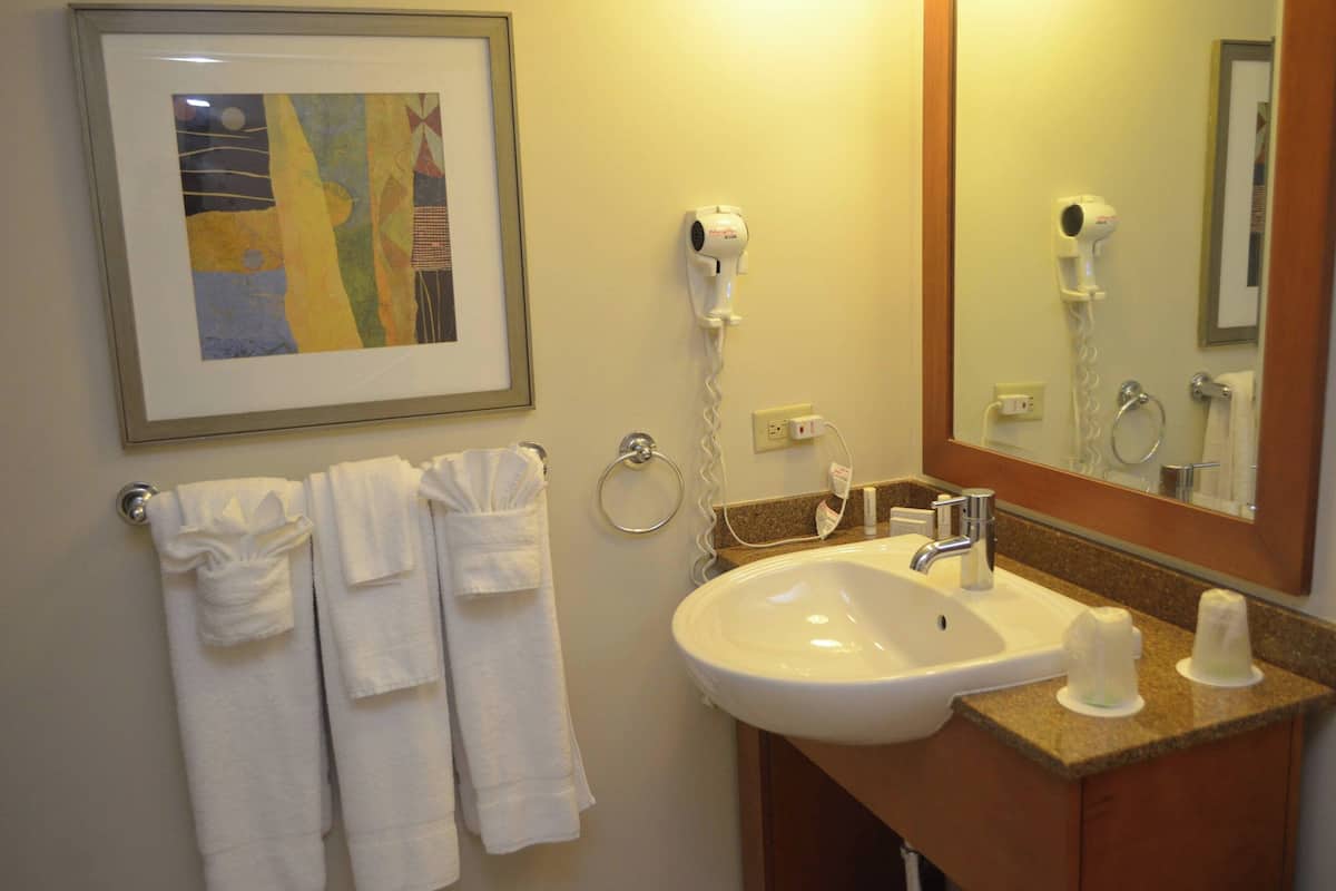 Combined shower/tub, hair dryer, towels