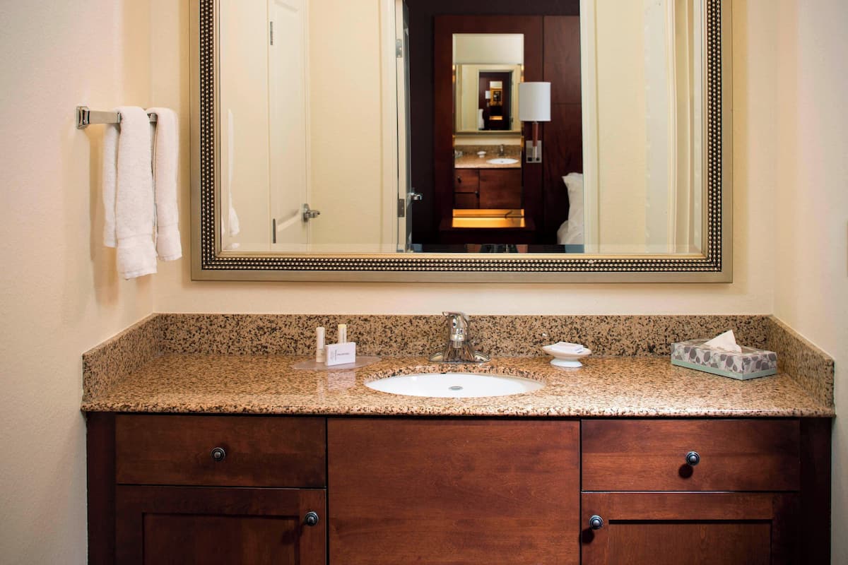 combined shower/bathtub, free toiletries, hair dryer, towels