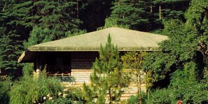 Una cabaña con techo de paja, rodeada de un bosque denso.