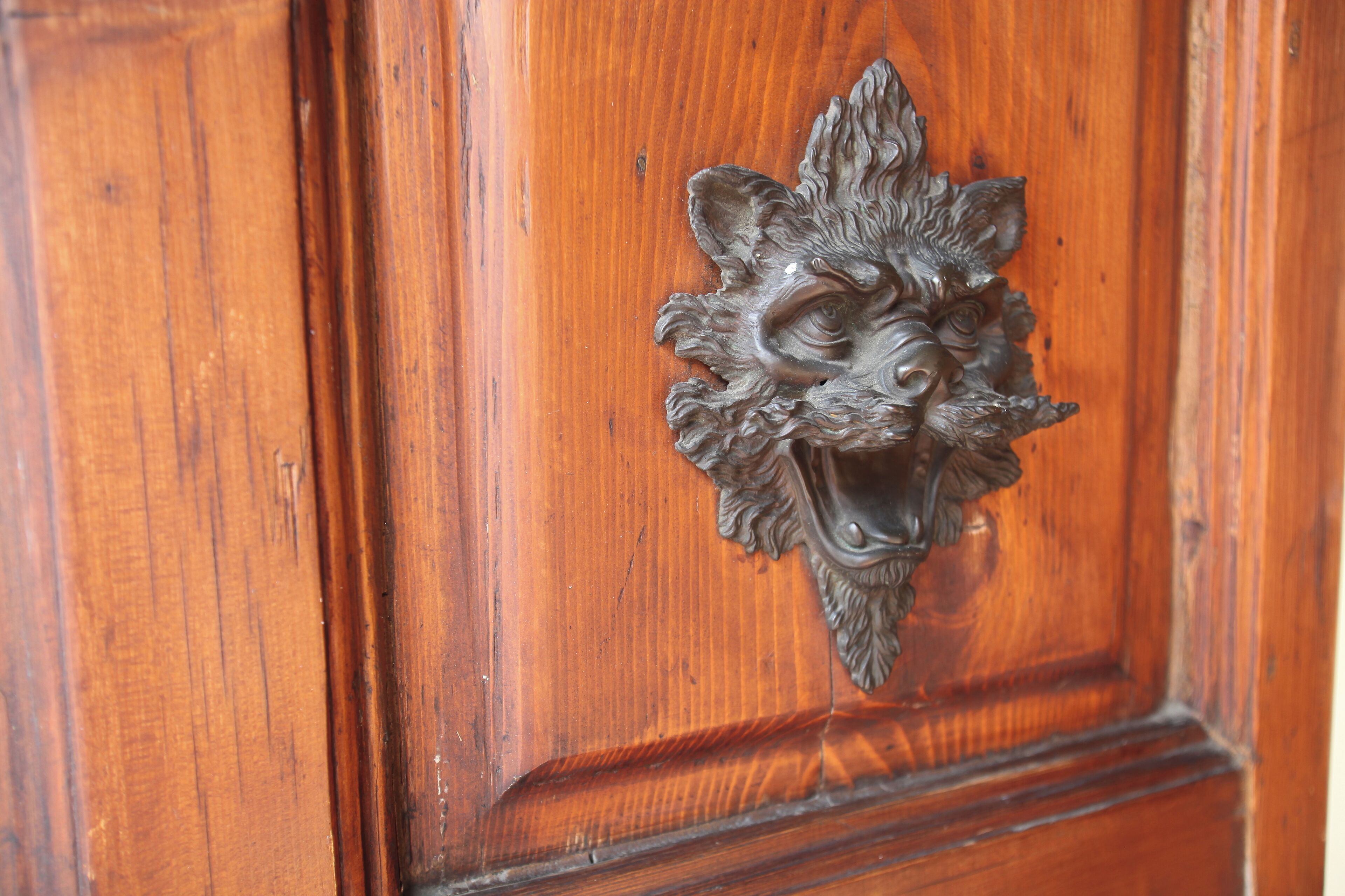 A wooden door with a detailed metal knocker shaped like a roaring lion's head.
