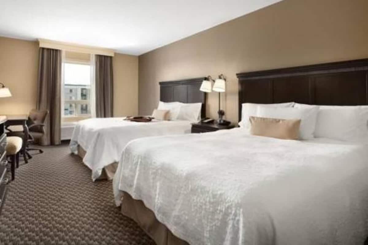 خزنة داخل الغرفة ومكتب ومكواة/لوح كي وواي فاي مجانًا