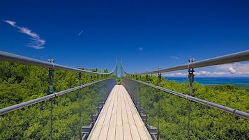 Un puente colgante con pasarela de madera y barandales metálicos, rodeado de abundante vegetación.