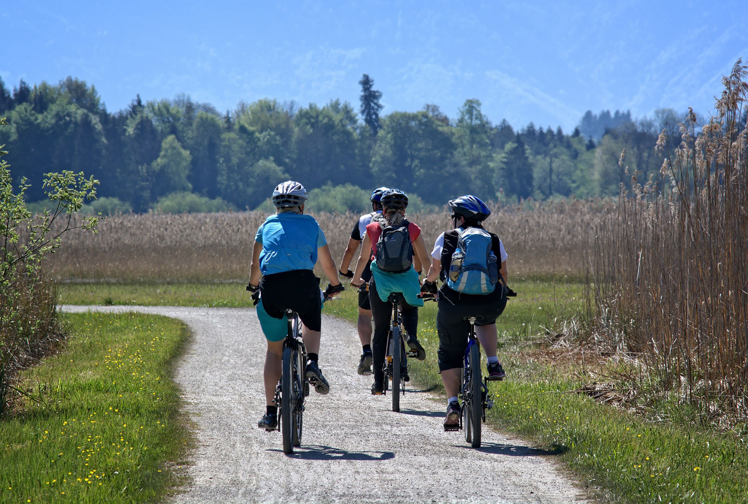 En grupp cyklister på en grusväg, omgiven av grönska och träd.