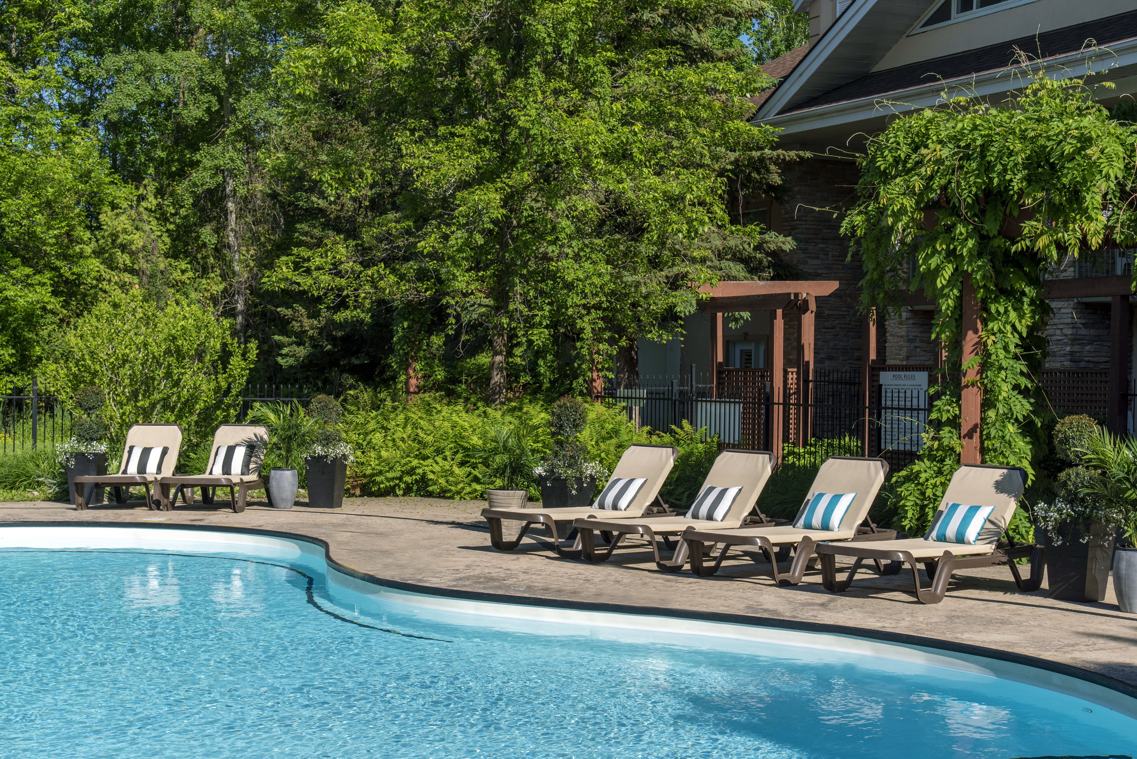 A swimming pool with lounge chairs and potted plants.