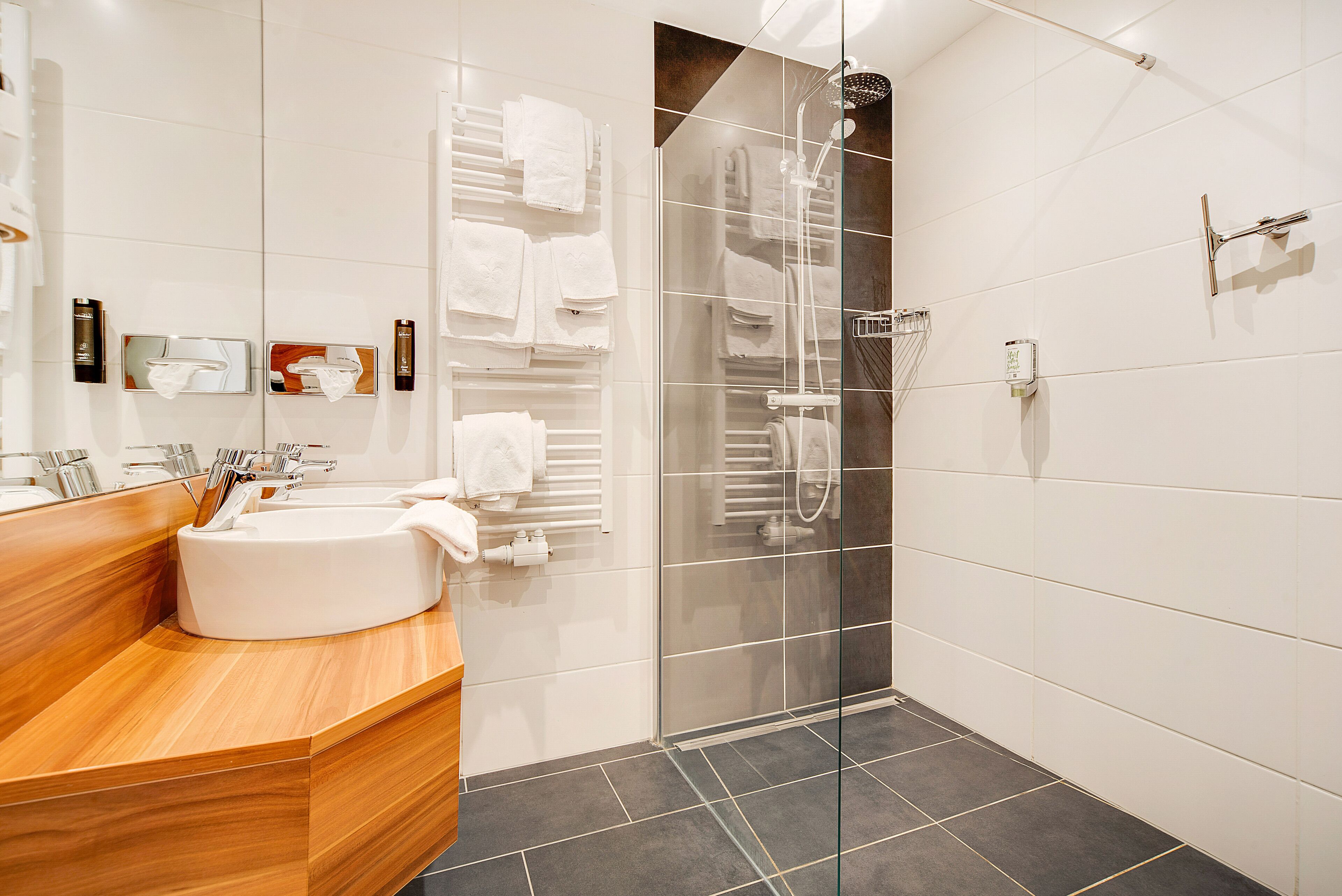 suite (studio) | bathroom | hair dryer, towels