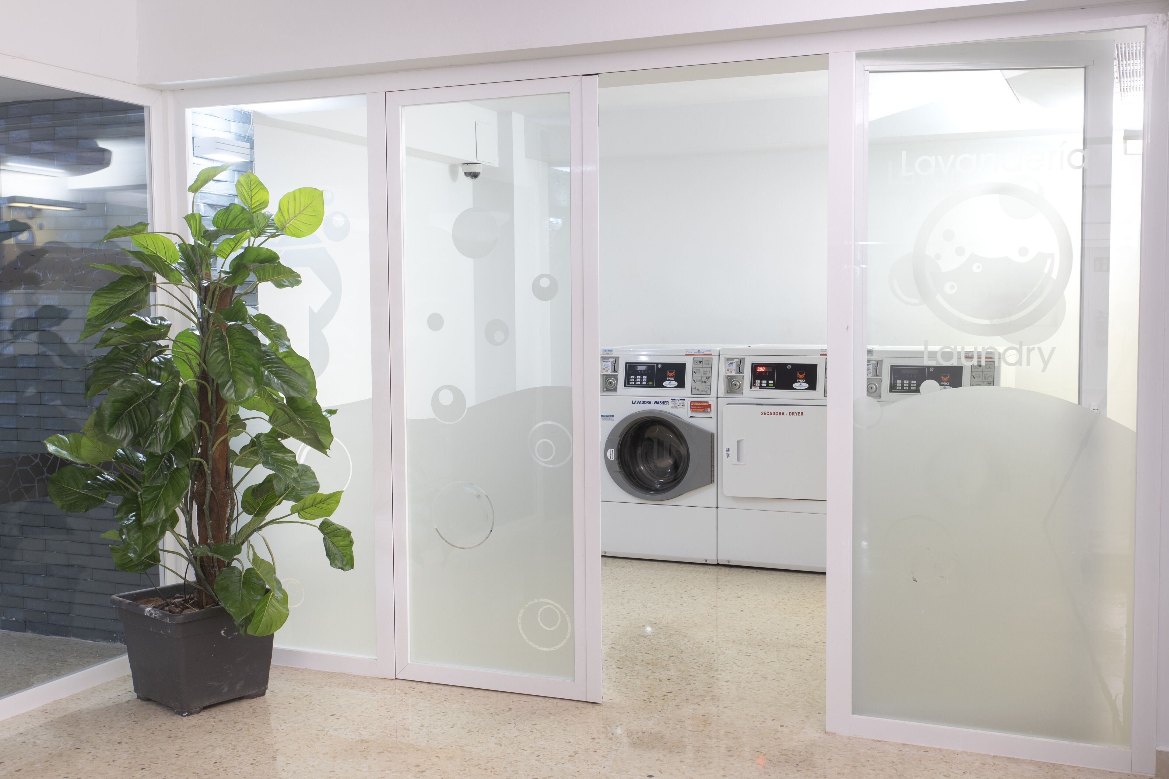 A modern interior with a potted plant, a glass door leading to a laundry area, and a tiled floor.