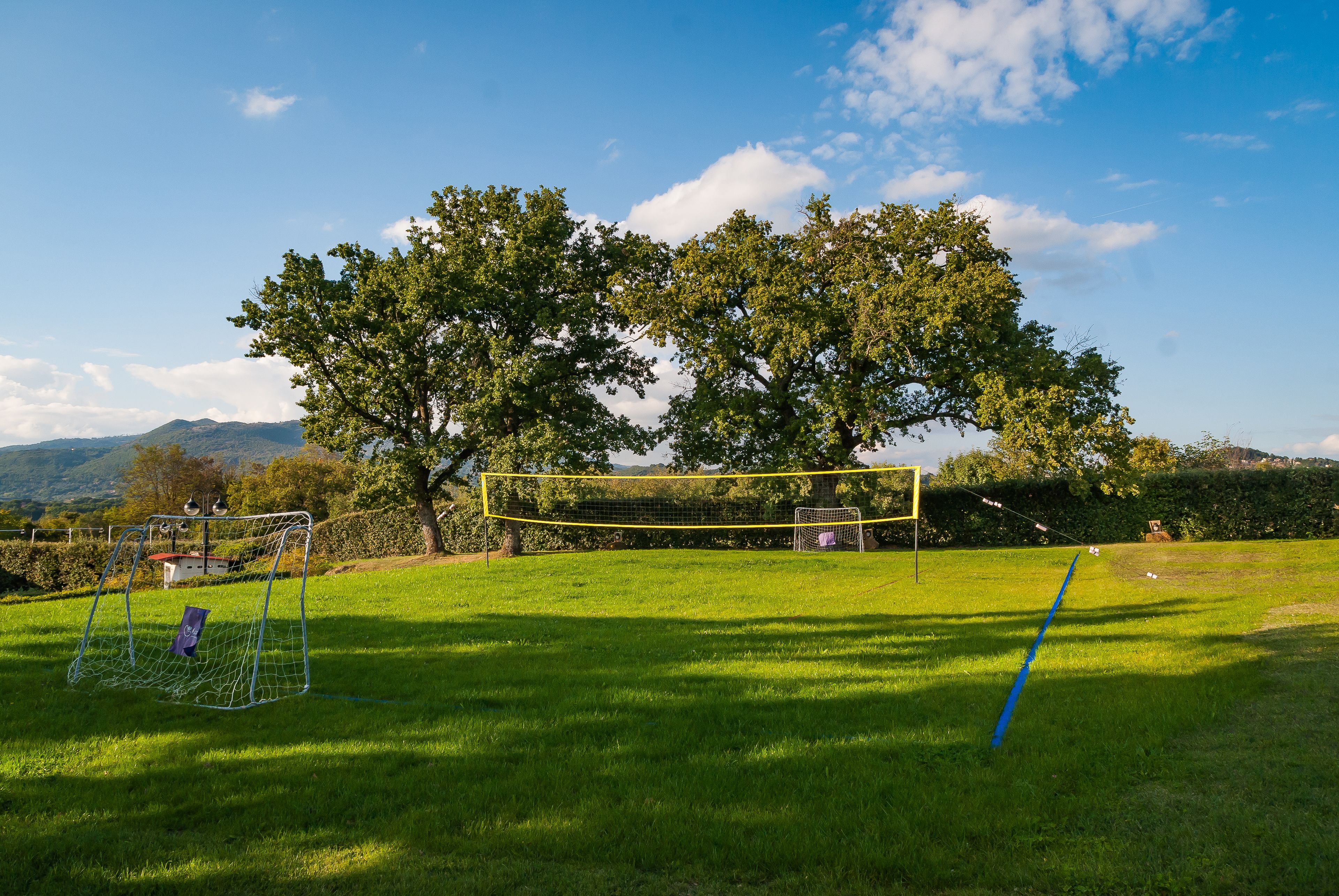 Un campo cubierto de césped con un arco de fútbol y una línea azul delimitando, rodeado de árboles y un cielo despejado.