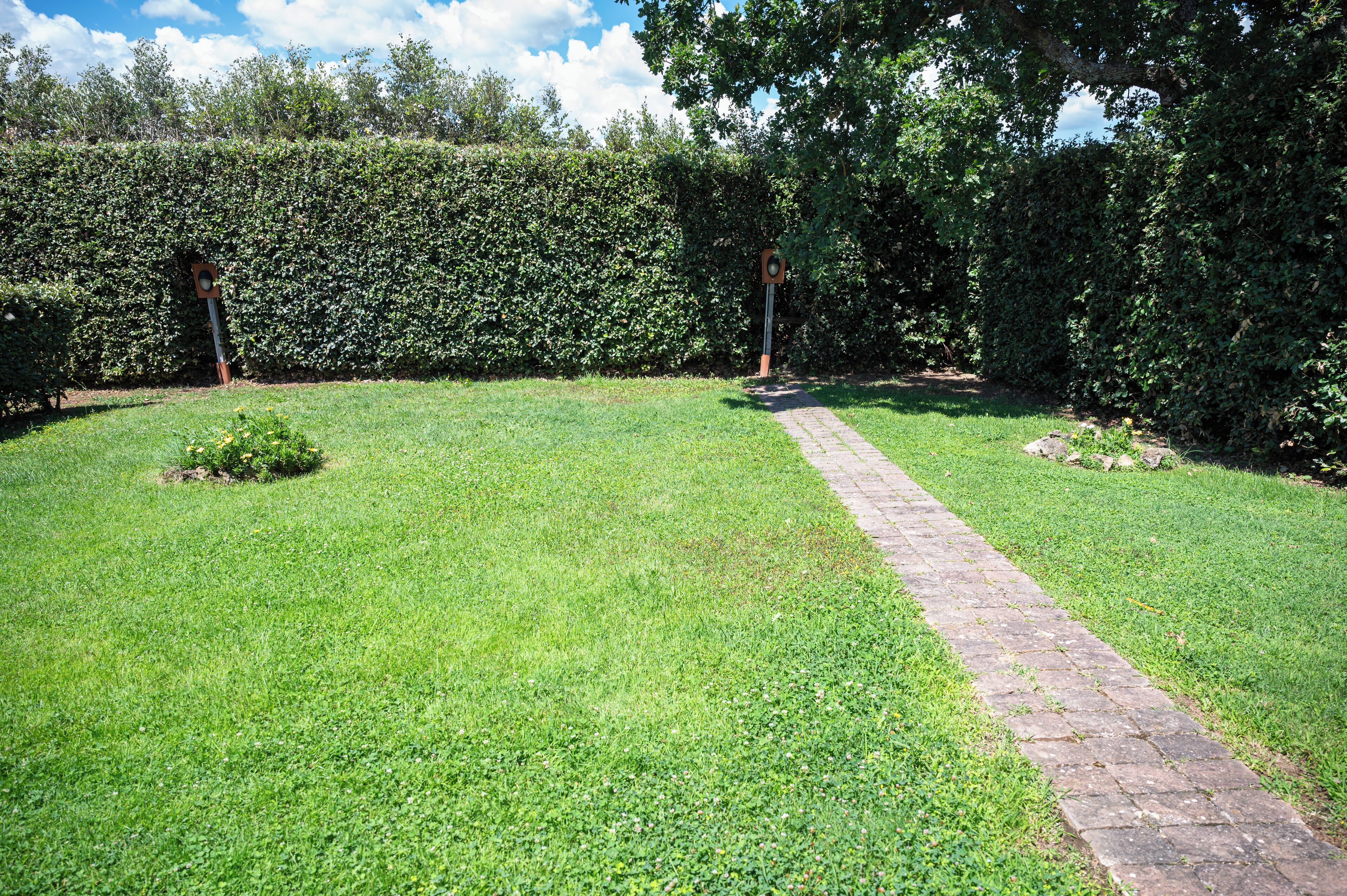 A well-maintained garden with a paved pathway leading through it.