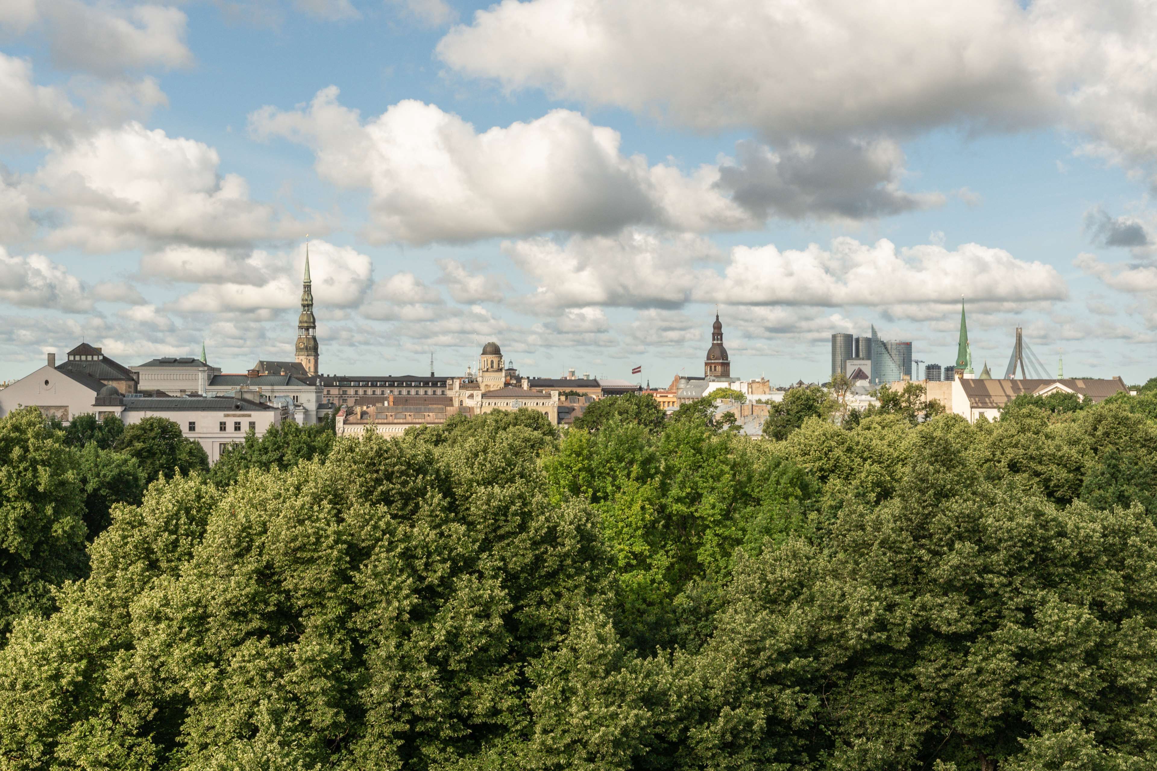 suite | view from room