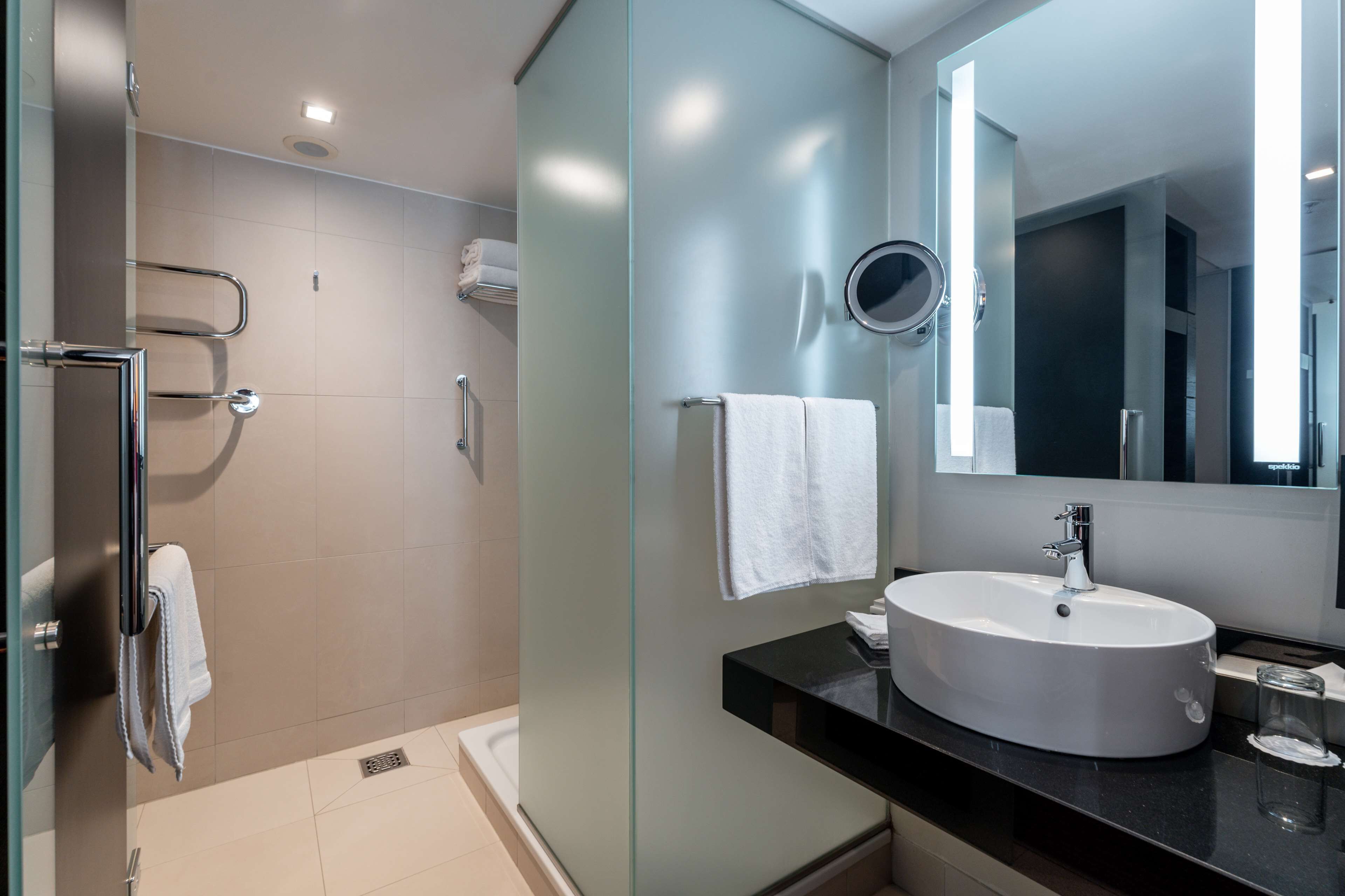 A modern bathroom with a glass shower enclosure, a round sink, and a large mirror.