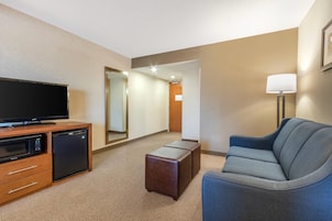 Suite, 1 King Bed with Sofa bed, Non Smoking