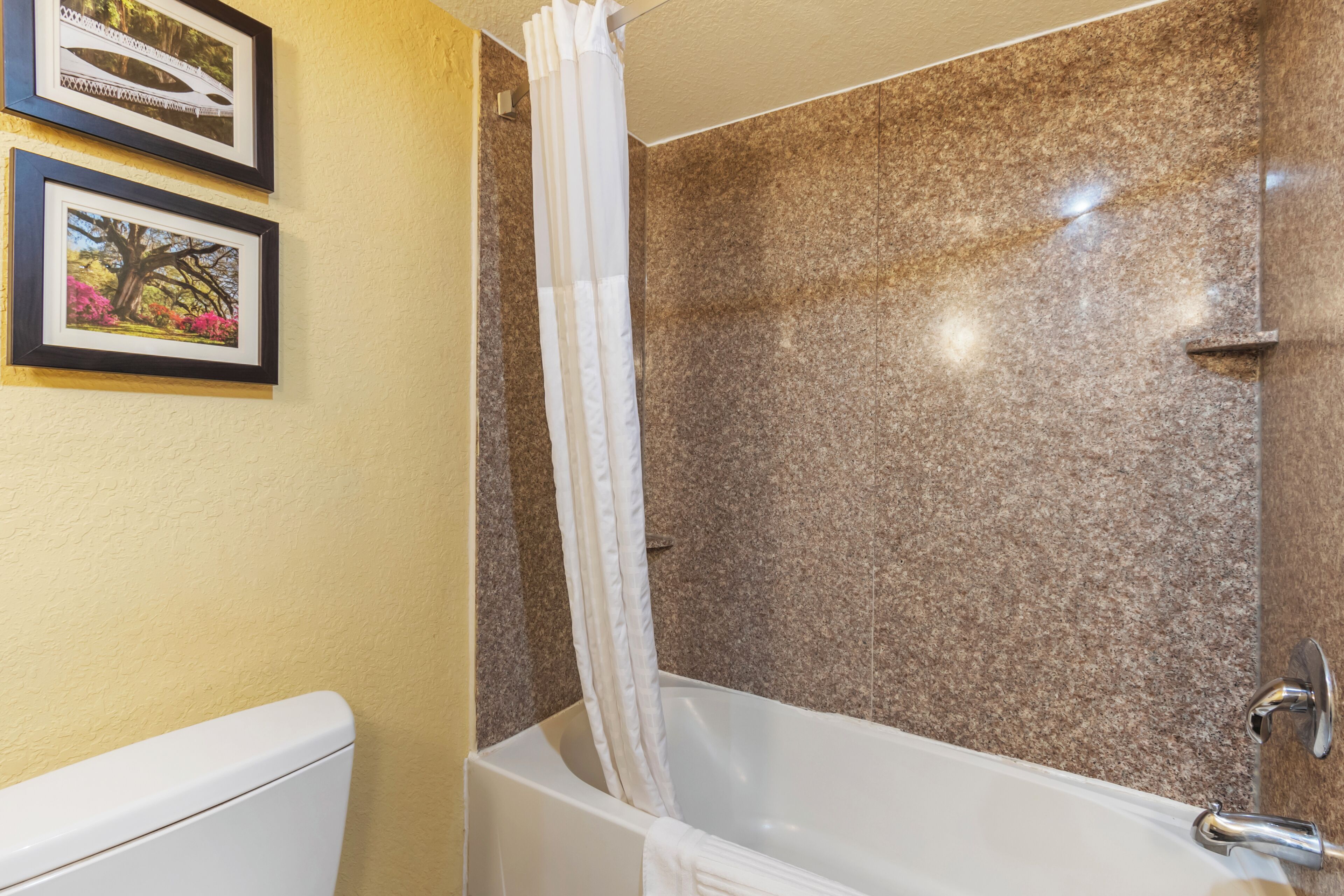 Photo - Comfort Inn & Suites Charleston Airport Convention Center