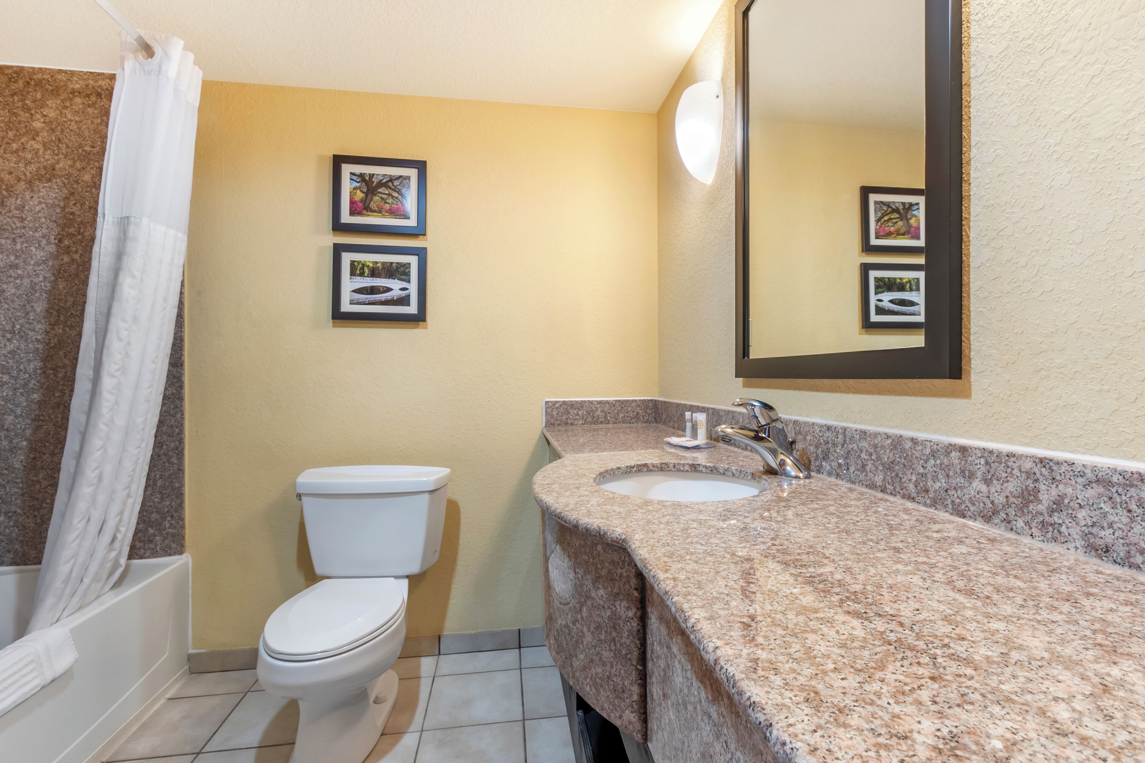 Photo - Comfort Inn & Suites Charleston Airport Convention Center