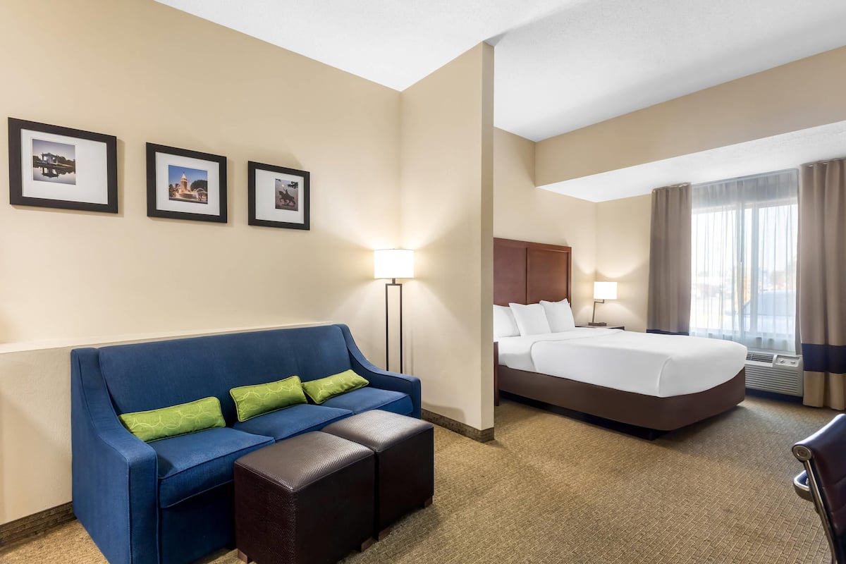 Suite, 1 très grand lit et 1 canapé-lit, non-fumeurs | 1 chambre, bureau, Wi-Fi gratuit, draps fournis