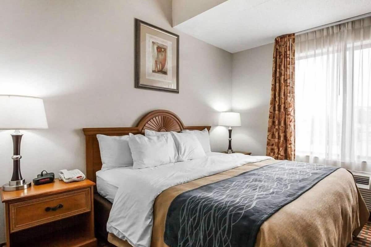 A hotel room with a bed, two bedside tables, a lamp, a telephone, a framed picture on the wall, and a window with curtains.