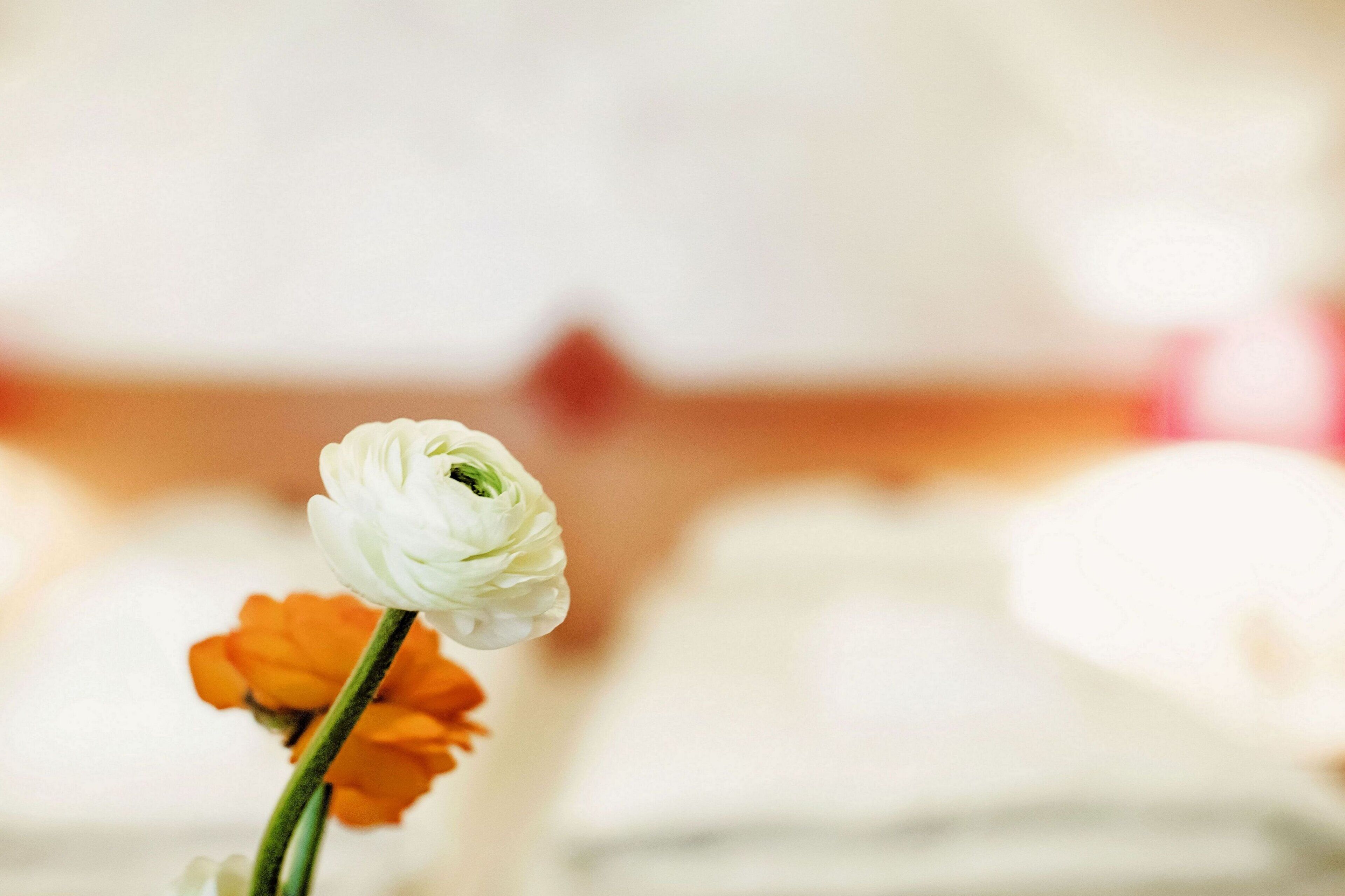 in-room safe, desk, free wifi, bed sheets