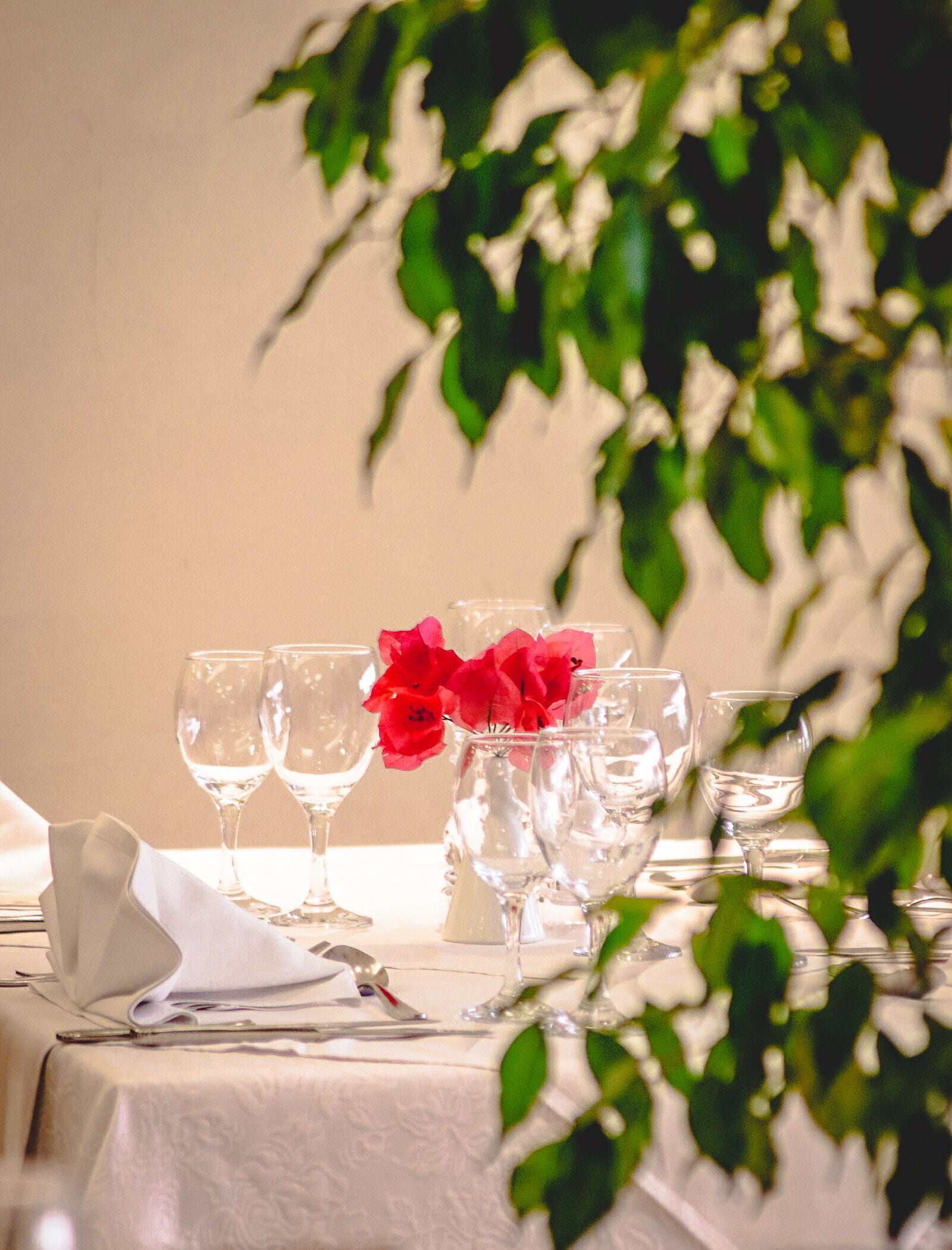 mediterranean cuisine, pool views