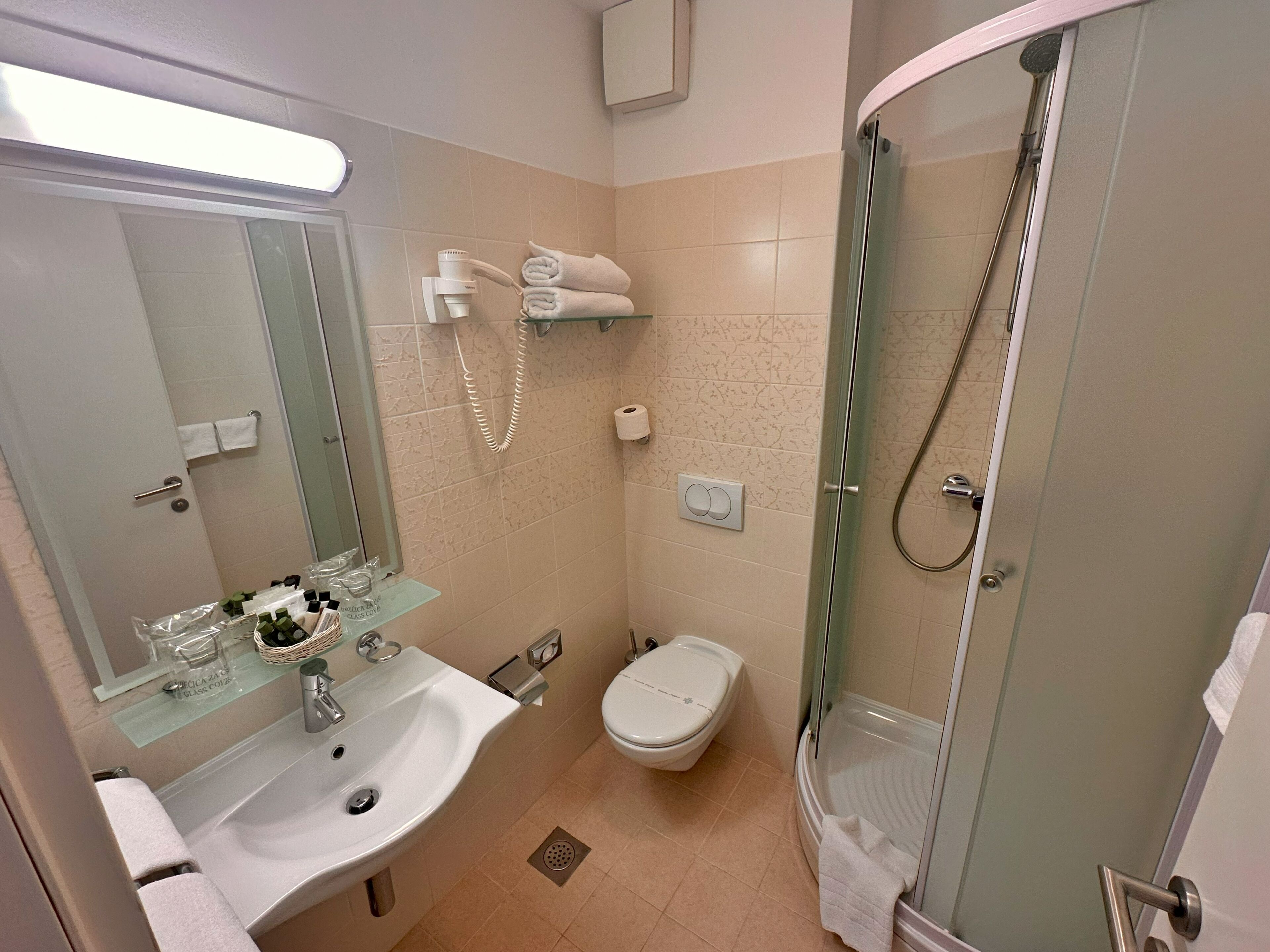 A modern bathroom with a glass shower enclosure, a white sink, and a toilet.