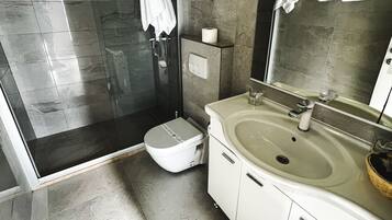 A modern bathroom with a glass-enclosed shower, a toilet, a sink, and a mirror.