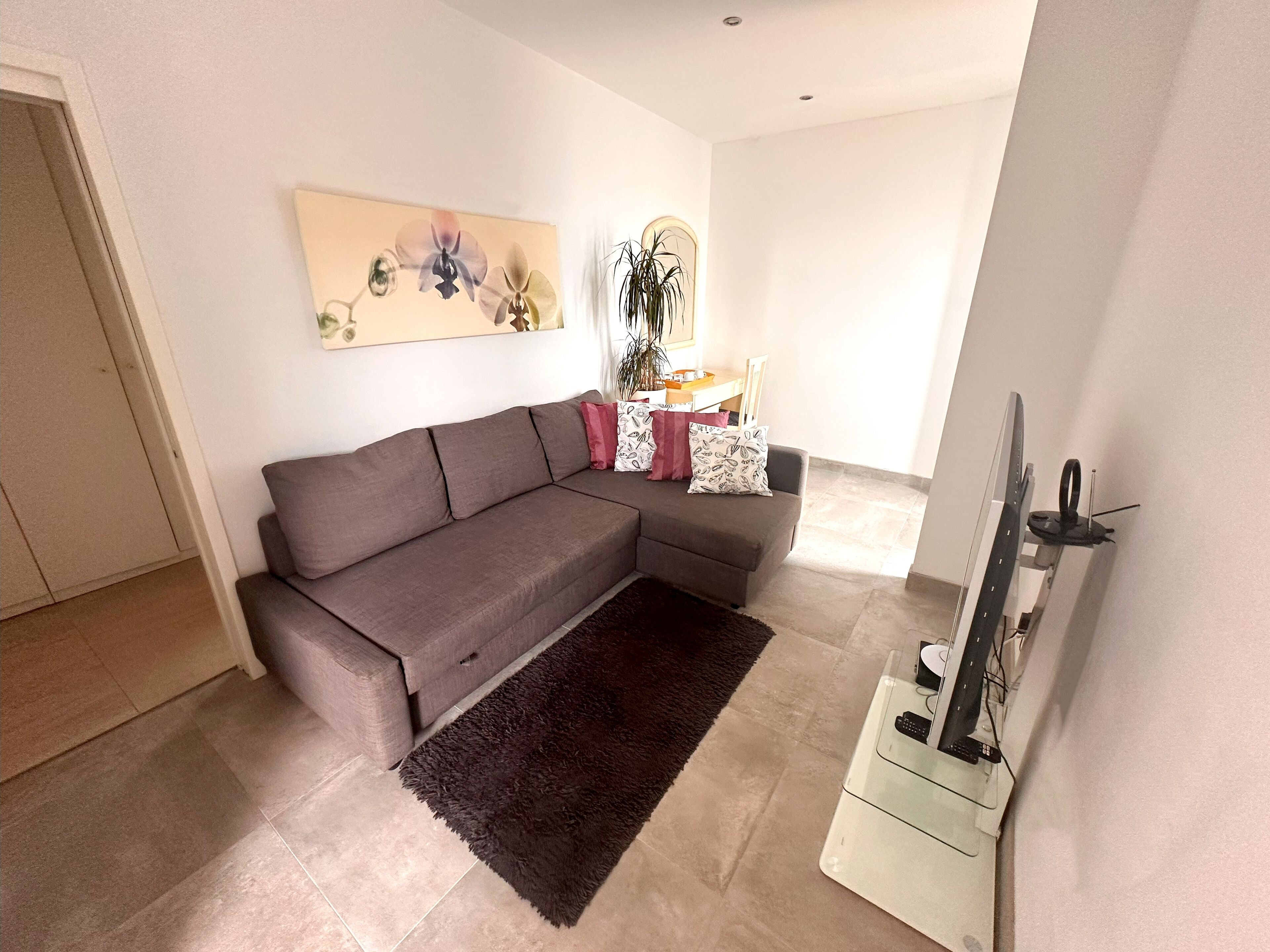 Una sala de estar con un sofá gris, un tapete oscuro, un televisor de pantalla plana y un mueble de televisión fijado a la pared.