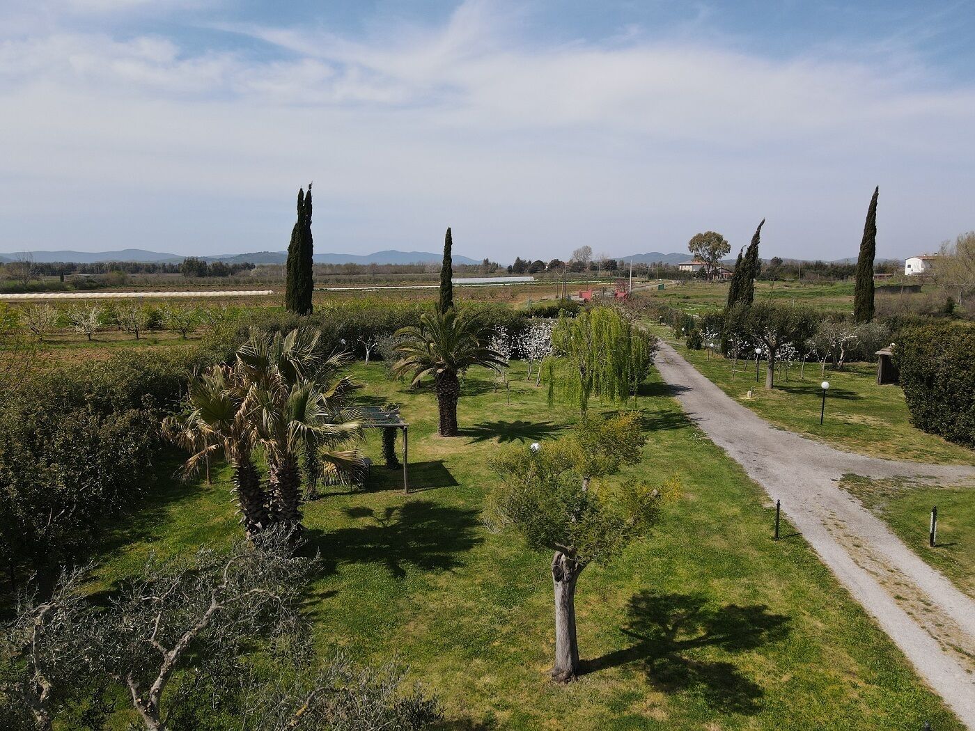 A rural landscape with a dirt path leading through a garden with various trees and shrubs.
