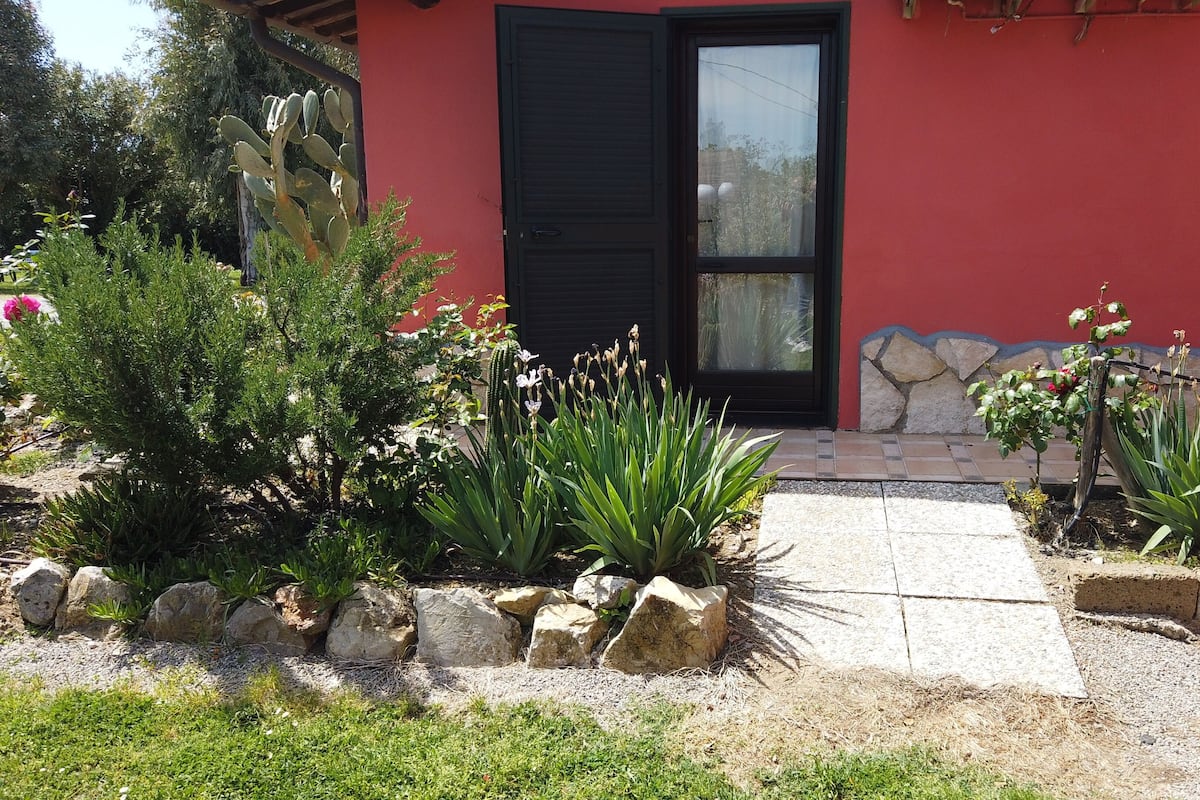 A red building with a black door, surrounded by a garden with various plants and rocks.