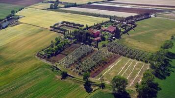 Experience rural charm at this picturesque farmhouse surrounded by cultivated fields and wooded areas.