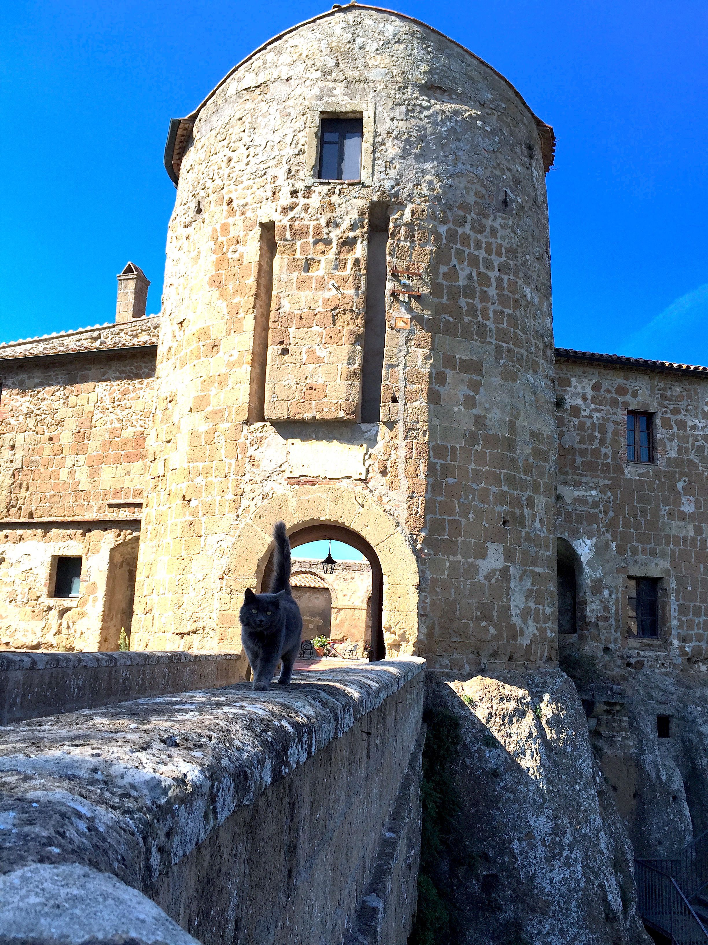 Une tour de pierre avec un chat perché sur une corniche.