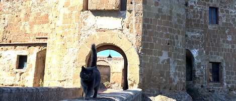 Une tour de pierre avec un chat perché sur une corniche.